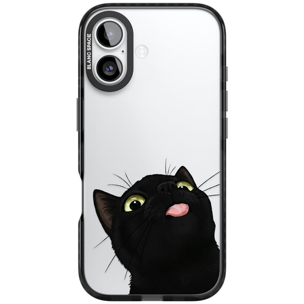 Black Cat Energy