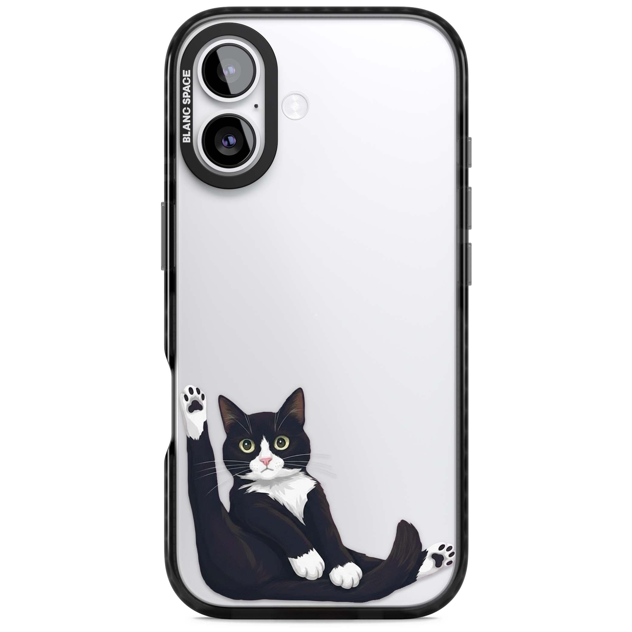 Mid-Groom Cat animals iPhone case | Clear Impact case for iPhone 17