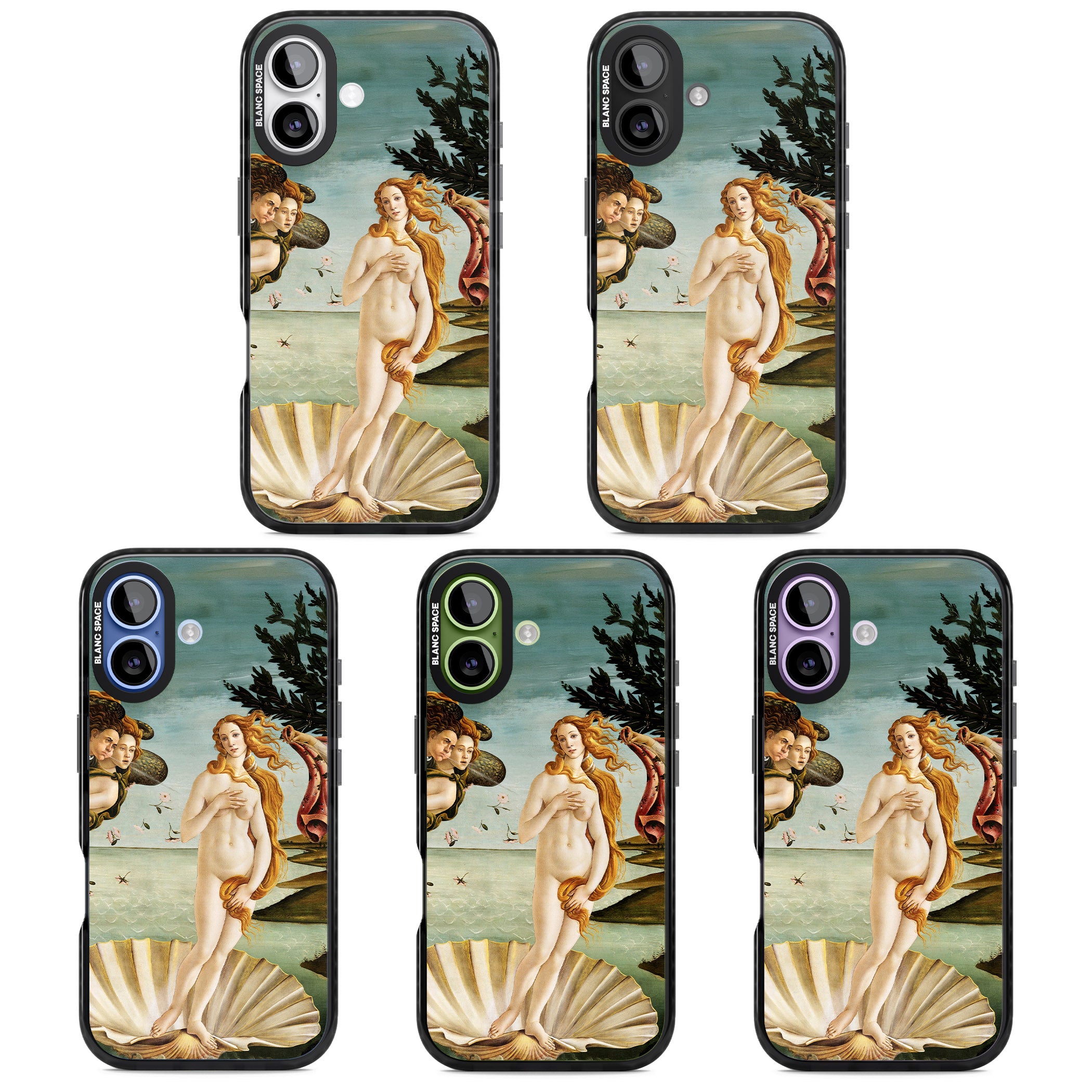 The Birth of Venus - Sandro Botticelli iPhone 17 Impact Black Phone Case APT Impact Protection