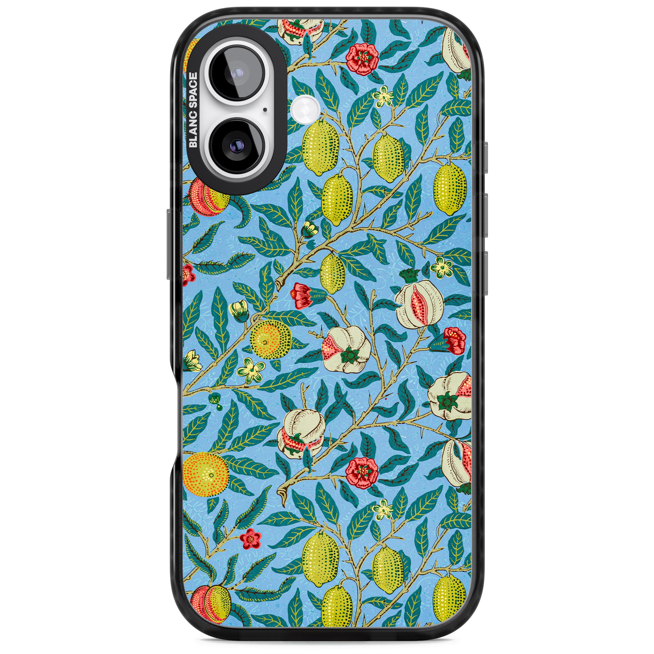 Vintage Fruits iPhone 17 Impact Pro Black Phone Case