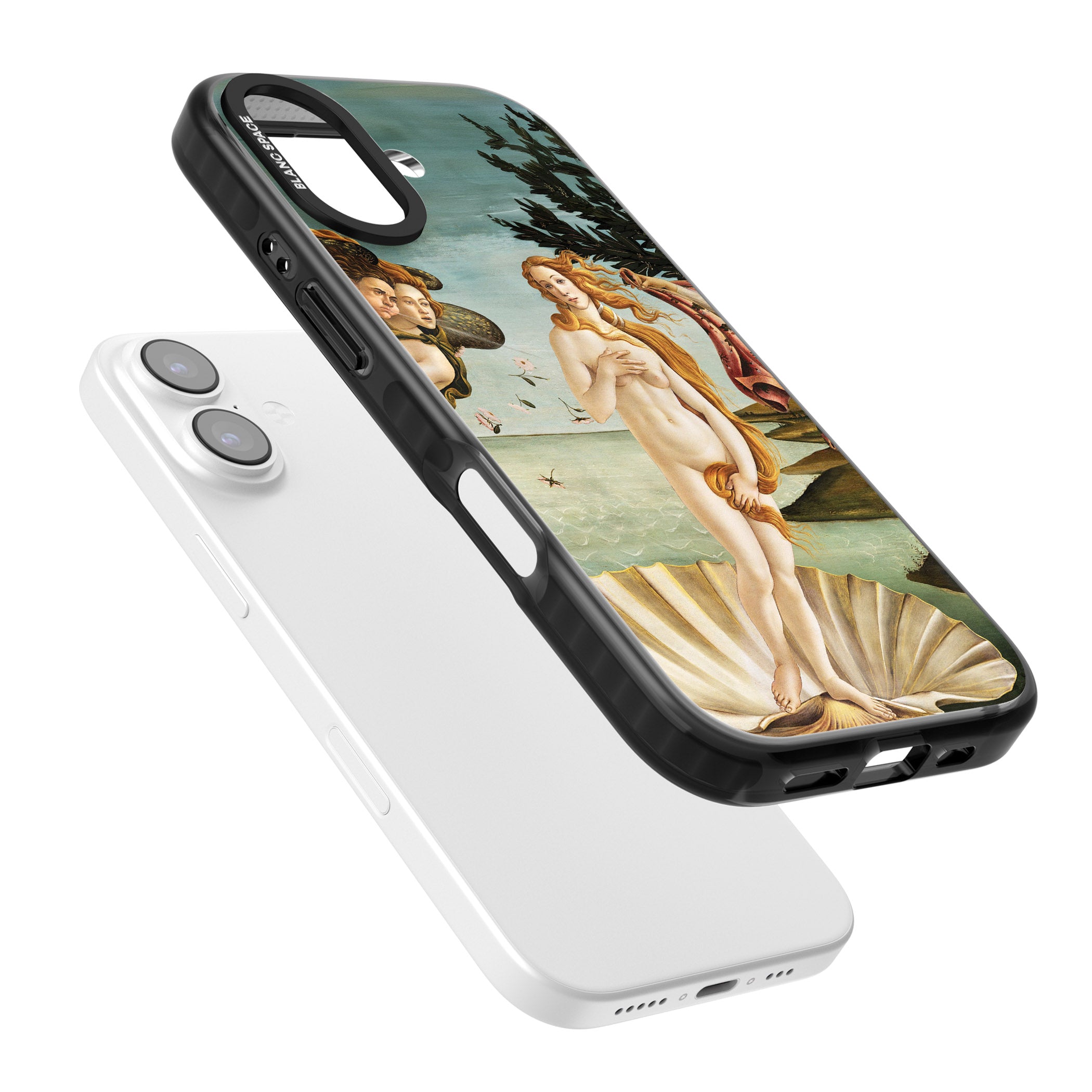 The Birth of Venus - Sandro Botticelli iPhone 17 Impact Pro Black Phone Case Colours