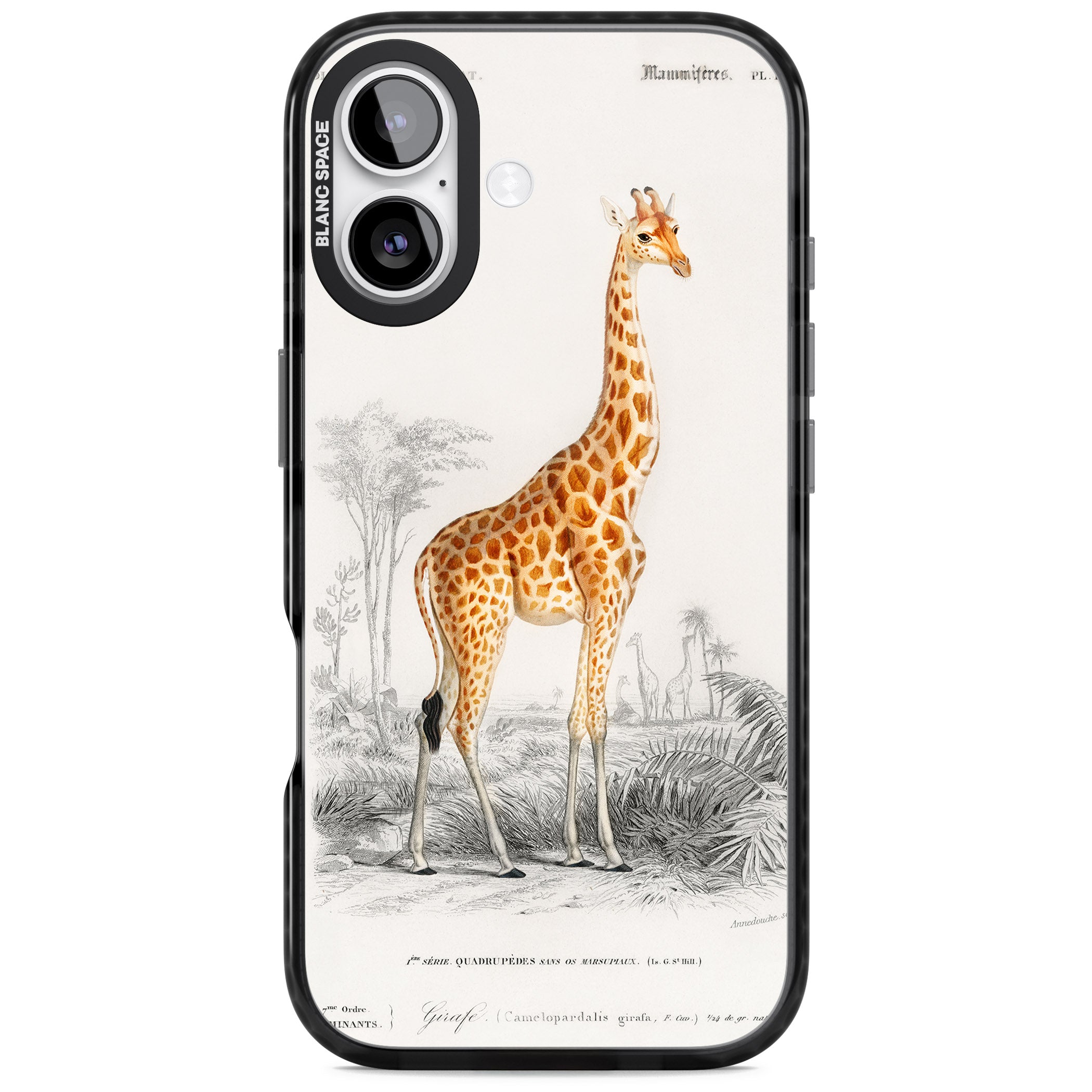 Vintage Giraffe Art iPhone 17 Impact Pro Black Phone Case