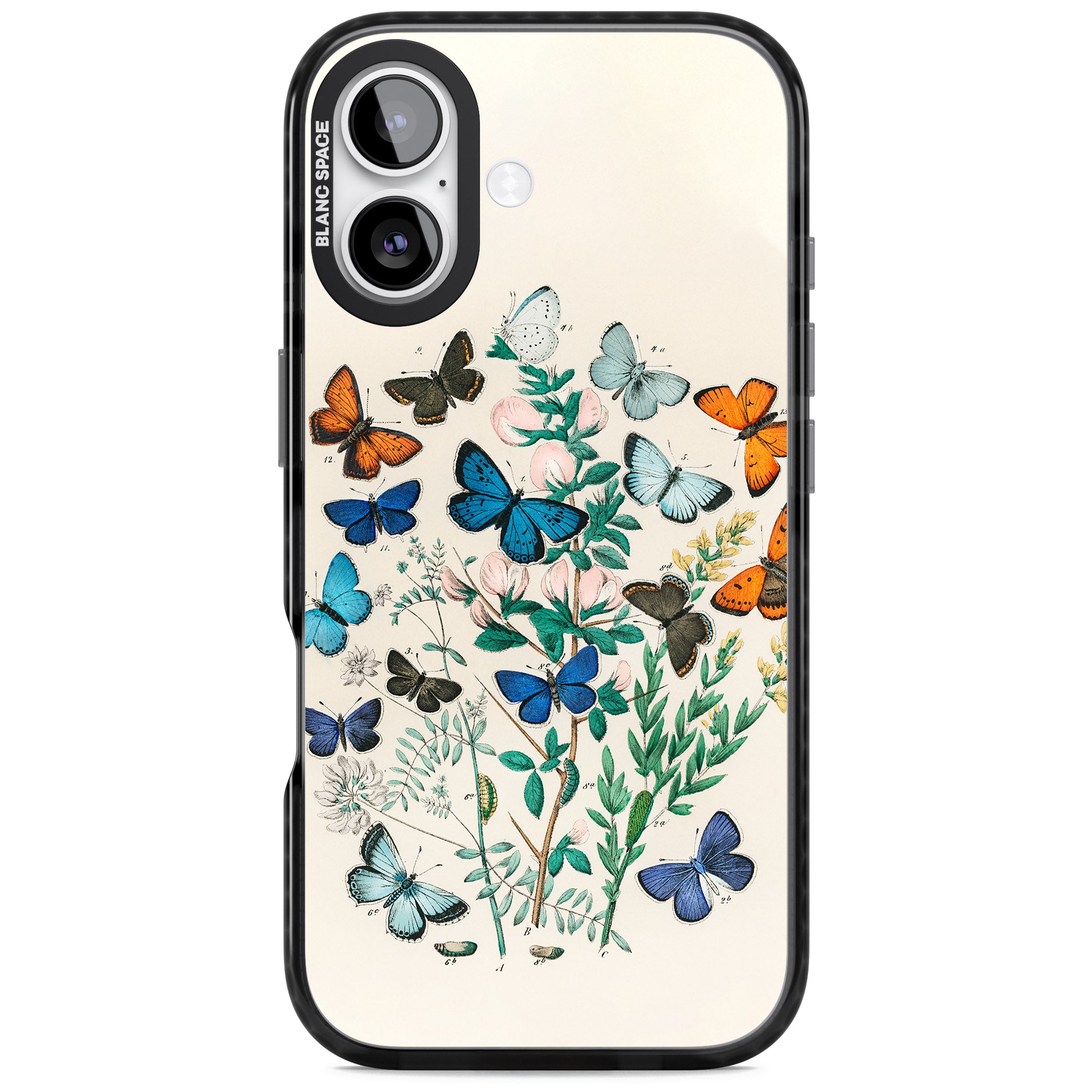European Butterflies iPhone 17 Impact Pro Black Phone Case