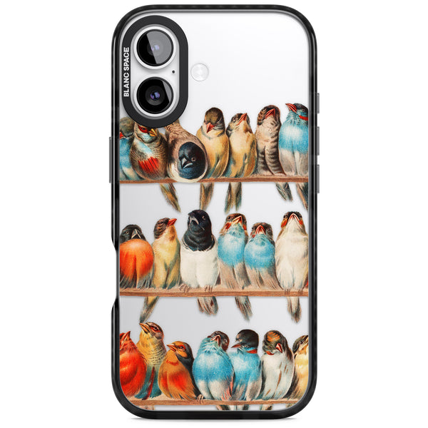 A Perch Of Birds