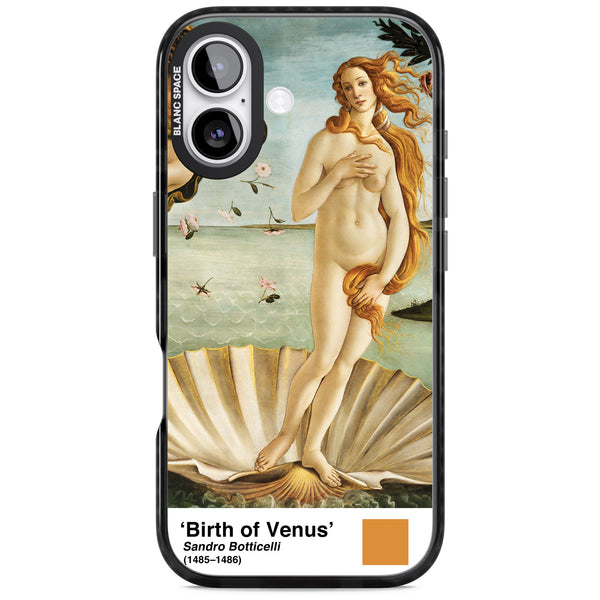 The Birth Of Venus