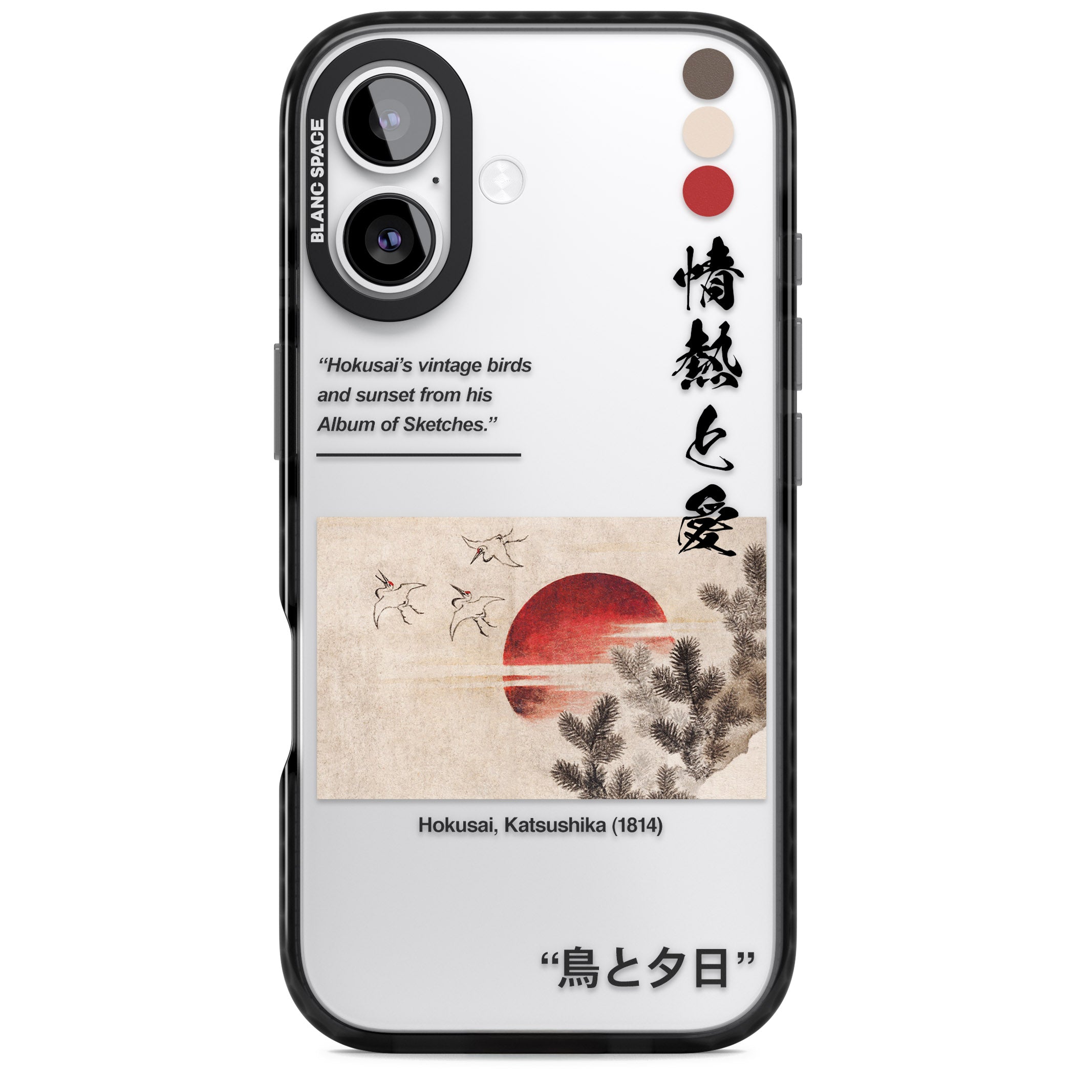 Birds And Sunset iPhone 17 Impact Black Phone Case