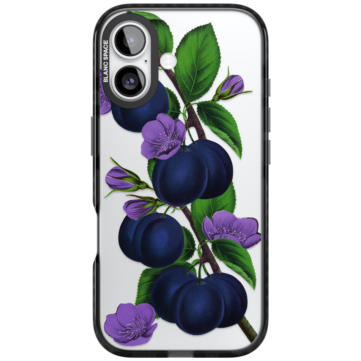 Vintage Painted Plums iPhone 16 / iPhone 16 Plus / iPhone 17 Impact Black Phone Case front