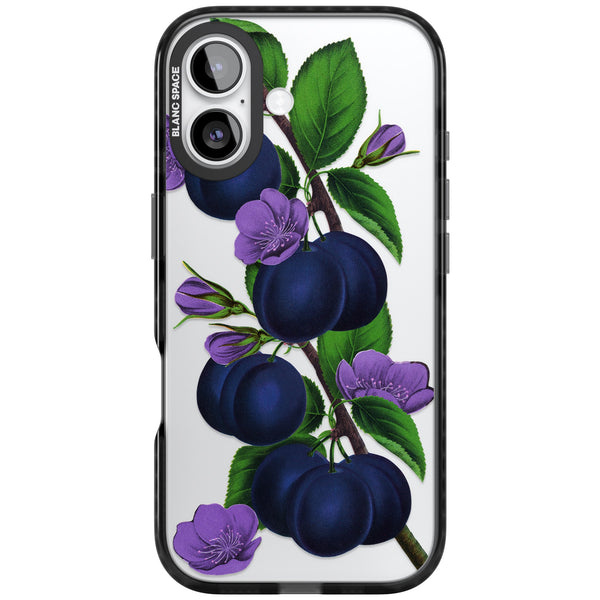 Vintage Painted Plums