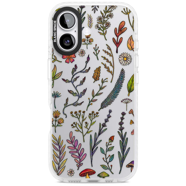 Autumn Wildflowers