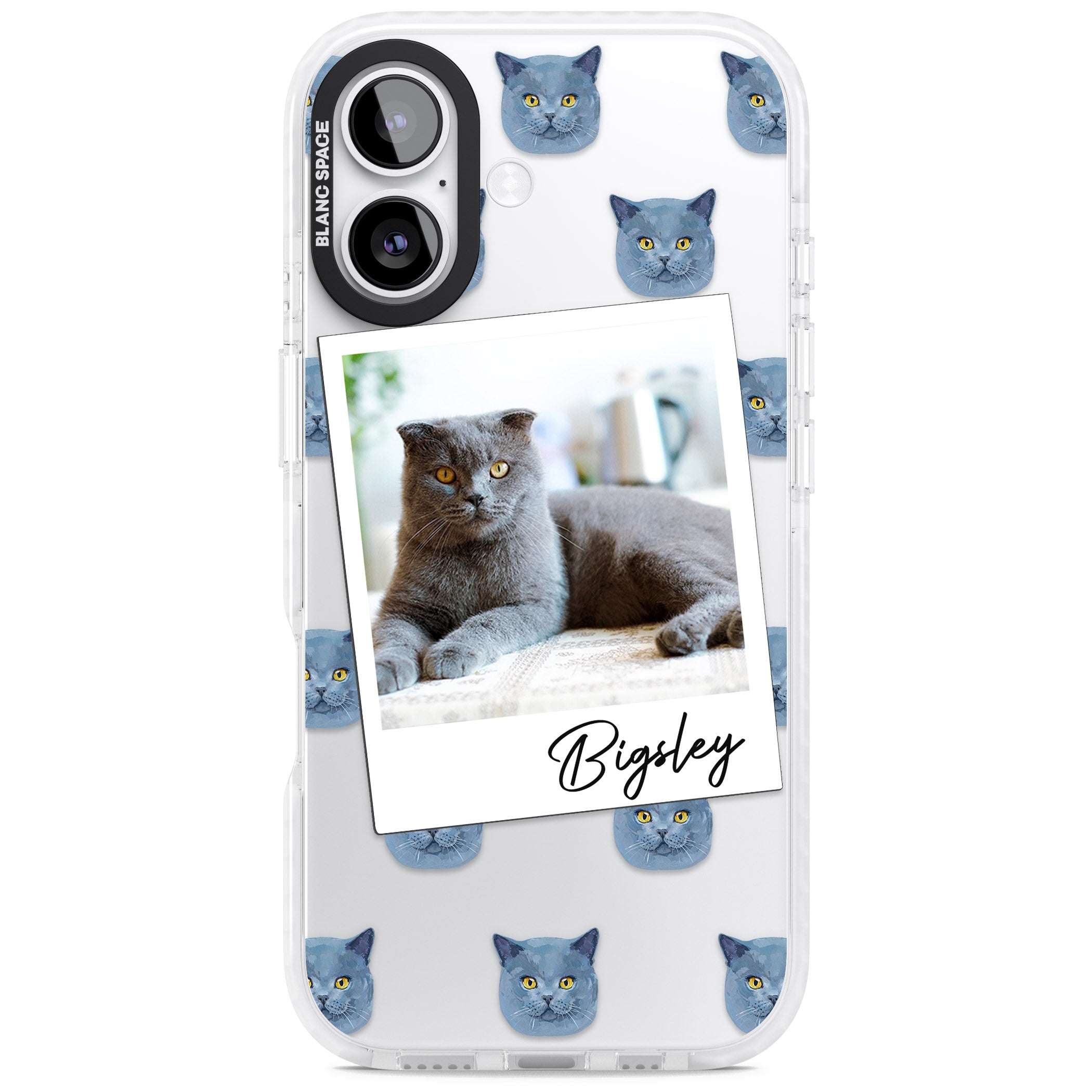 Personalised English Blue Cat Photo iPhone 17 Impact Clear Phone Case