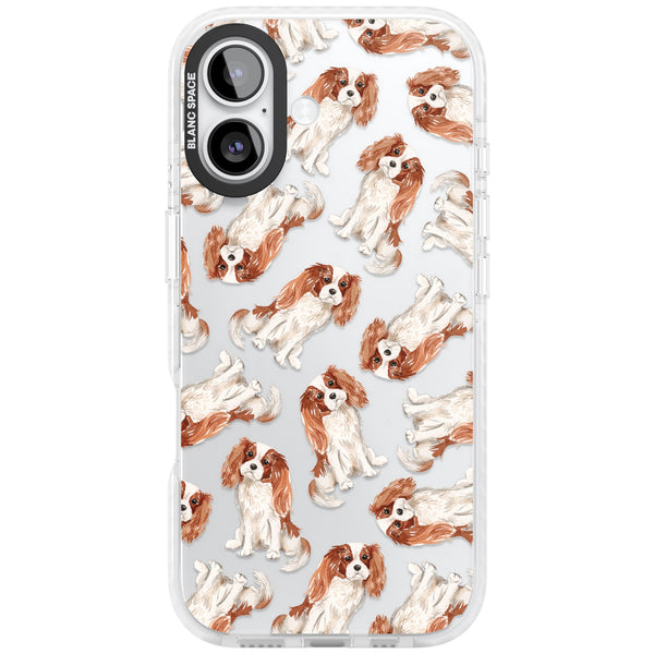 Cavalier King Charles Spaniel