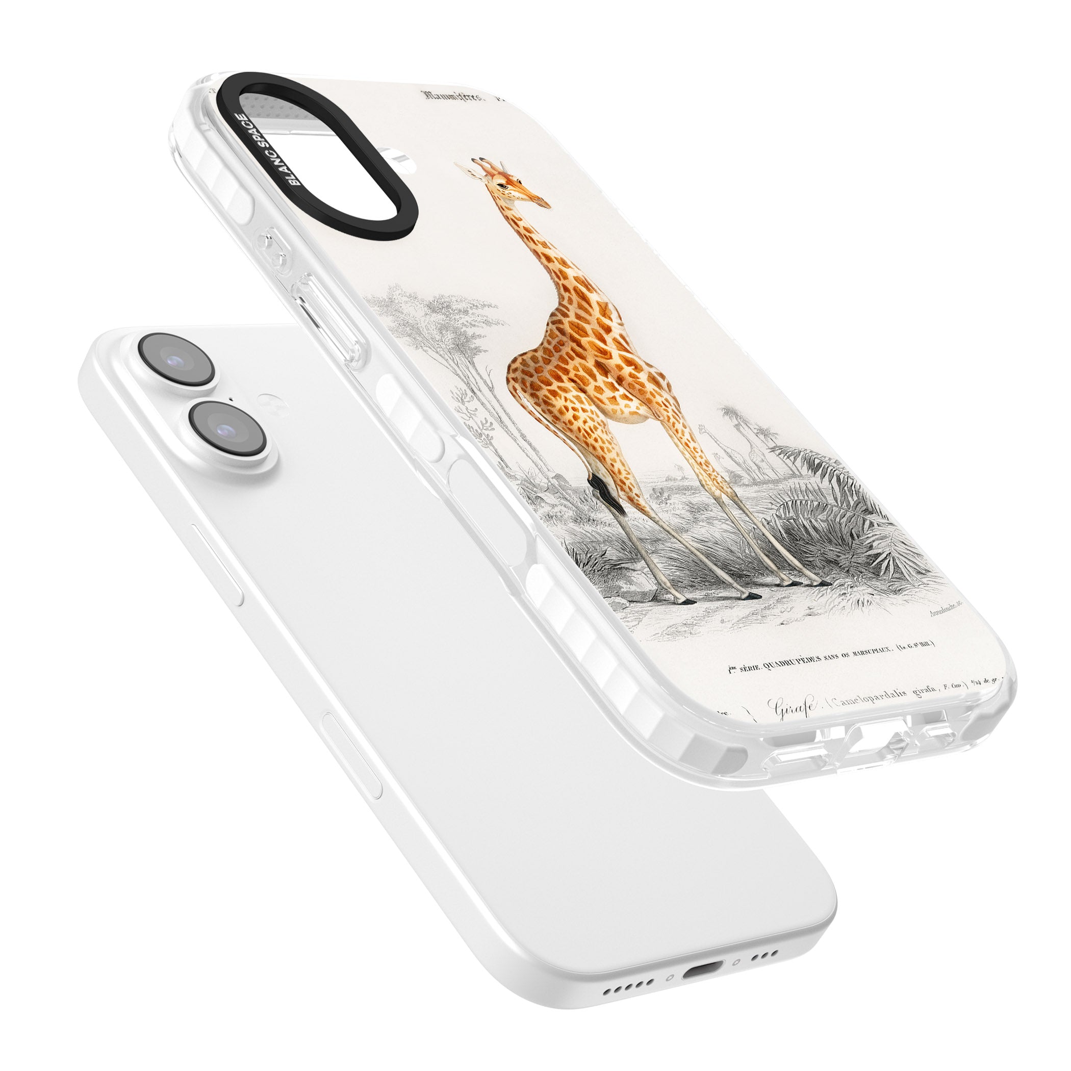 Vintage Giraffe Art iPhone 17 Impact Clear Phone Case Colours