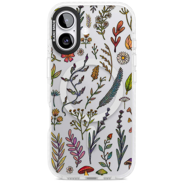 Autumn Wildflowers