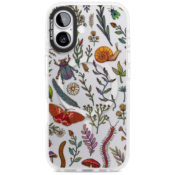 Bugs & Wildflowers