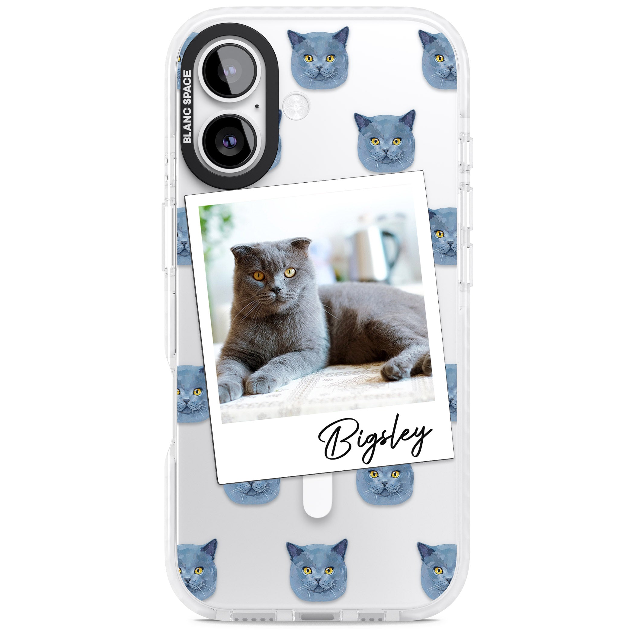 Personalised English Blue Cat Photo iPhone 17 Impact Pro Clear Phone Case