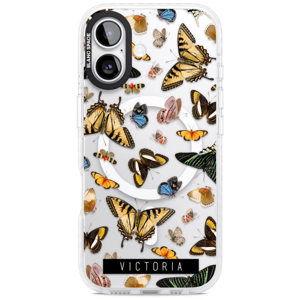 Personalised Butterfly Archive