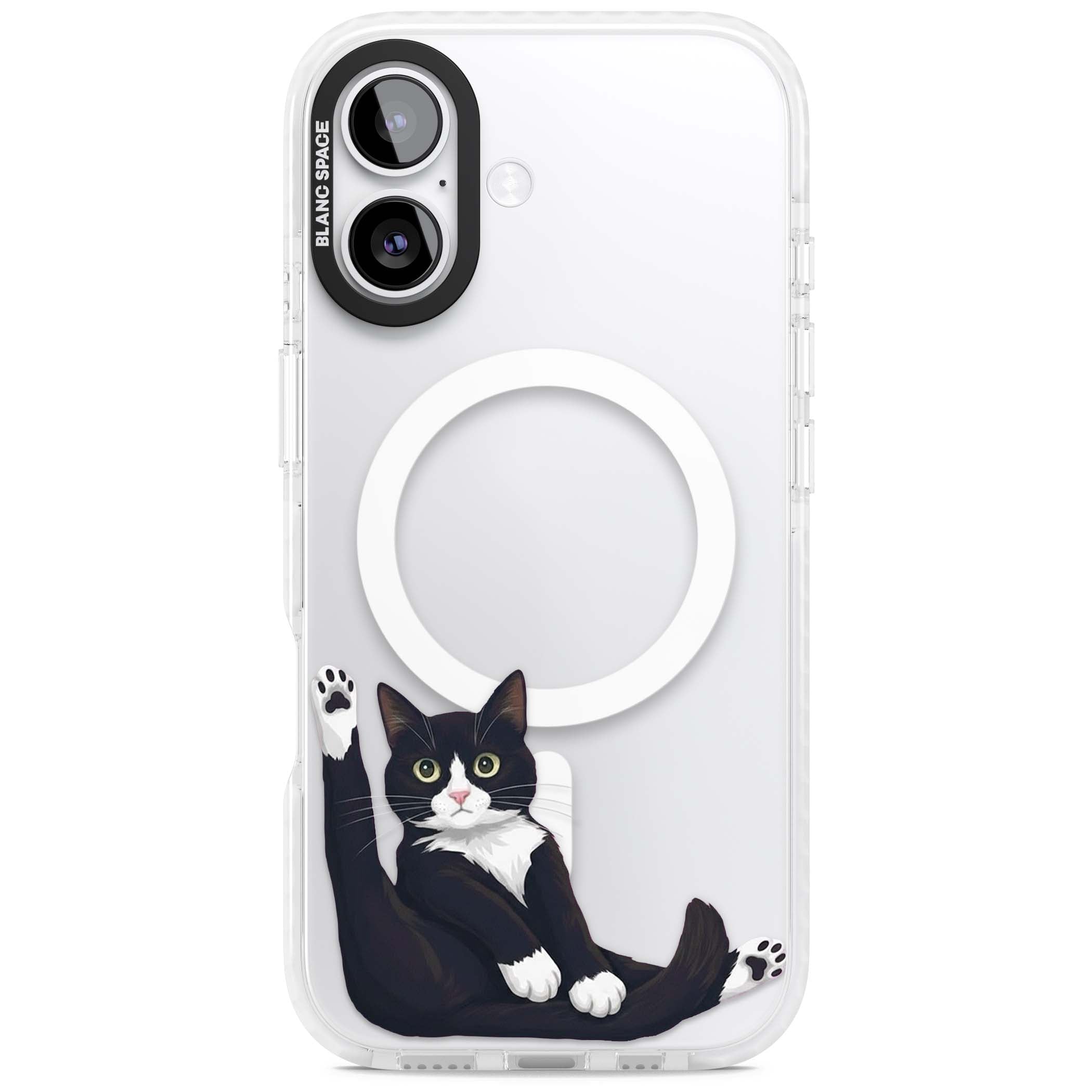 Mid-Groom Cat animals iPhone case | Impact Magsafe case for iPhone 17