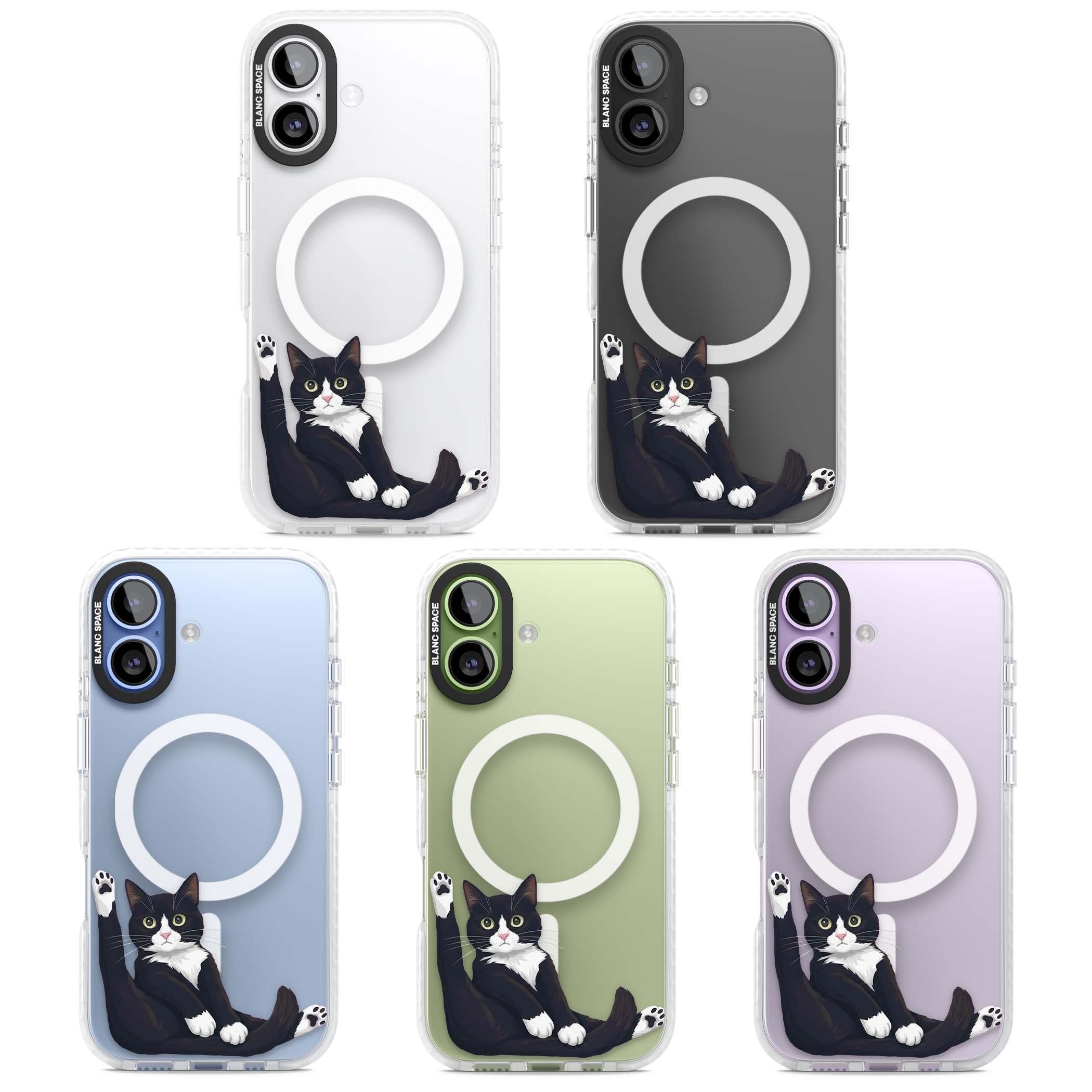 Mid-Groom Cat animals iPhone case | Impact Magsafe case for iPhone 17