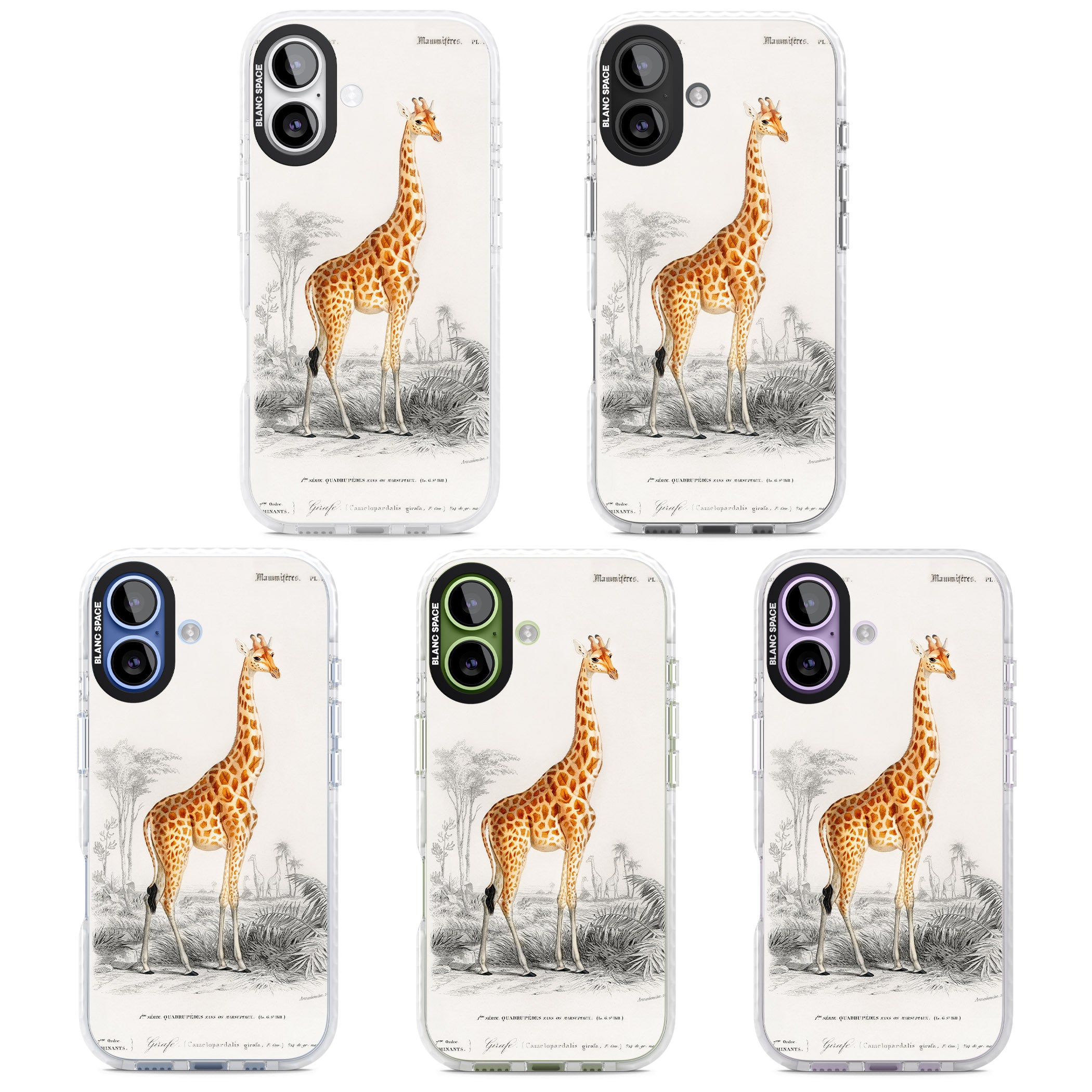 Vintage Giraffe Art iPhone 17 Impact Pro Clear Phone Case APT Impact Protection