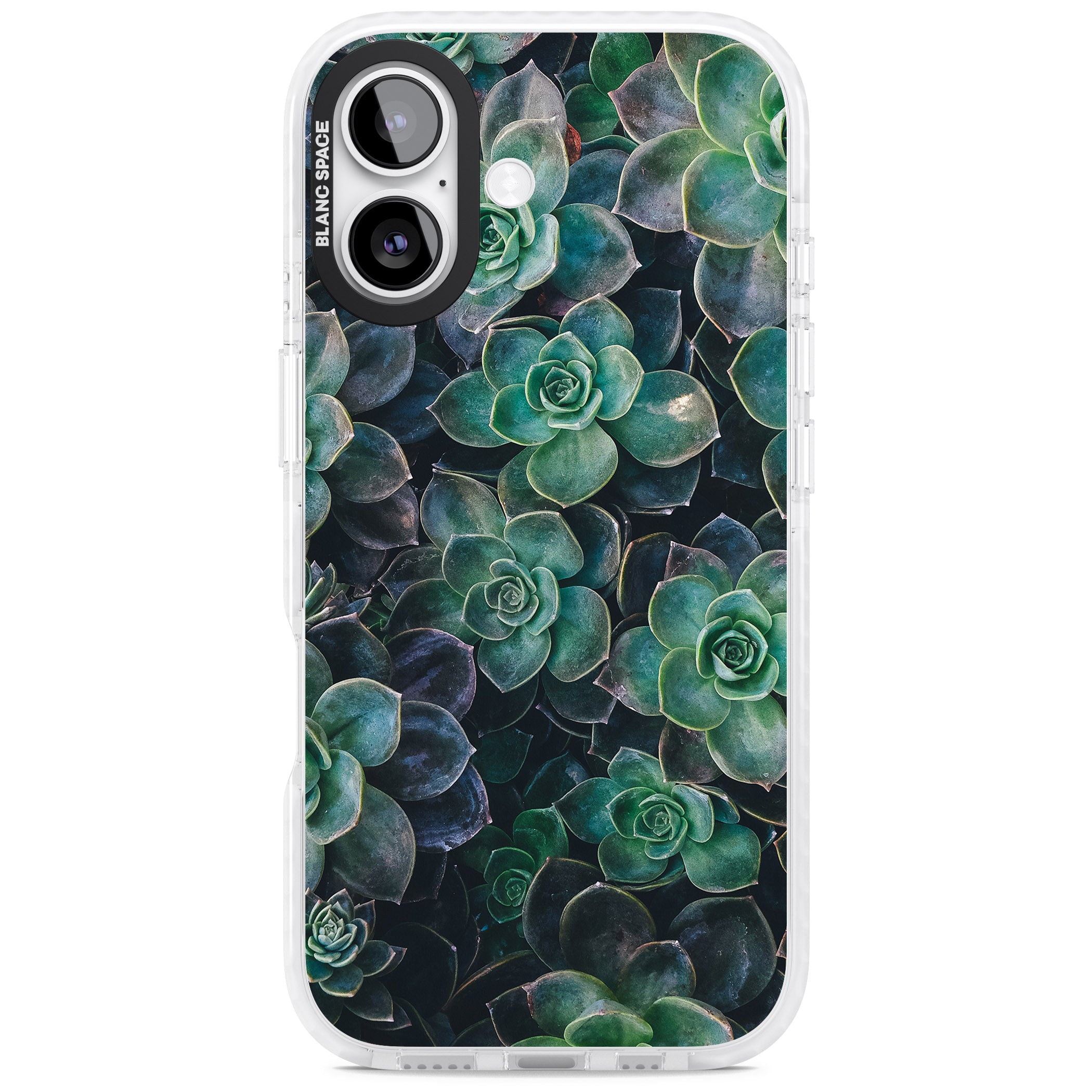 Succulent Bloom Botanical iPhone 17 Impact Pro Clear Phone Case