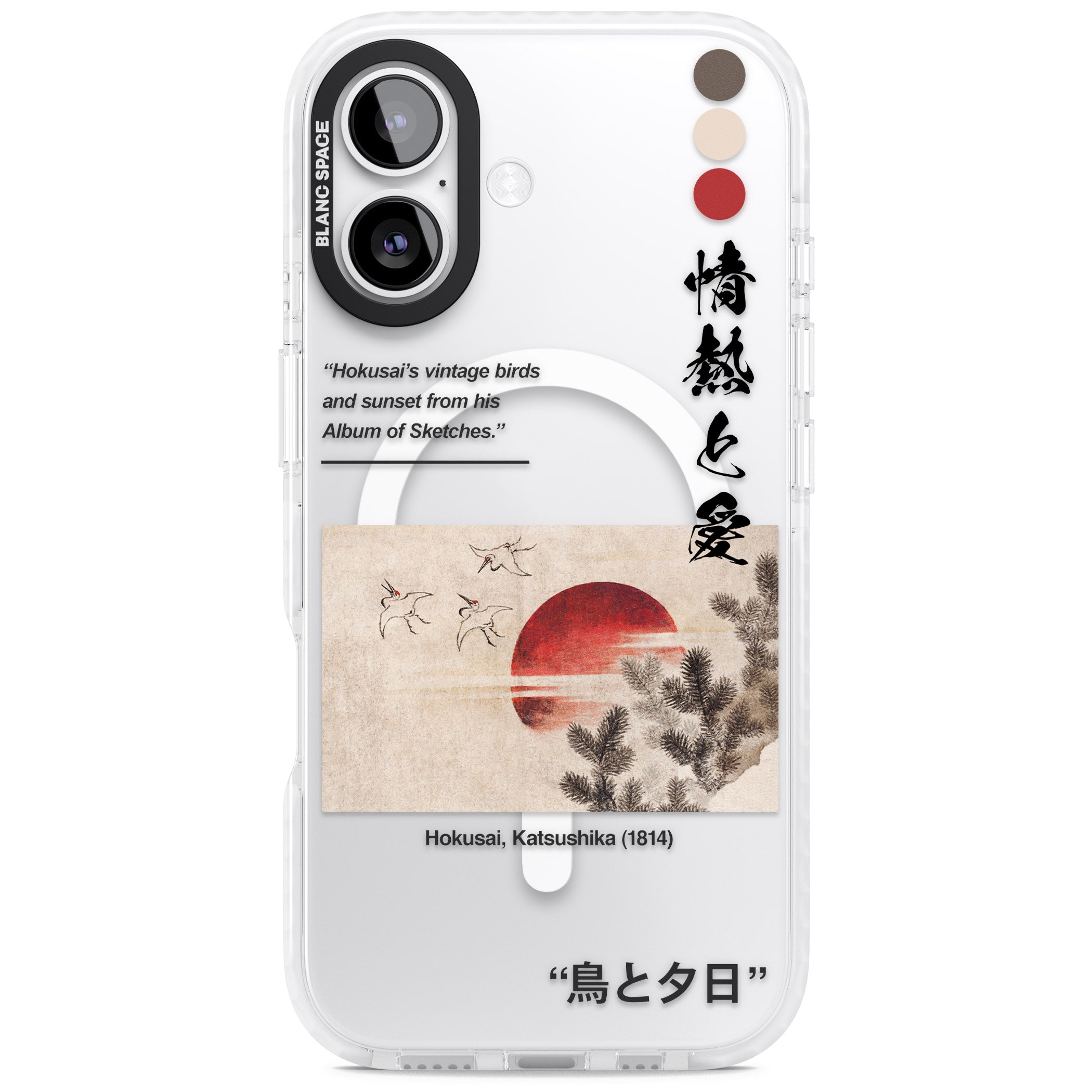 Birds And Sunset iPhone 17 Impact Pro Clear Phone Case
