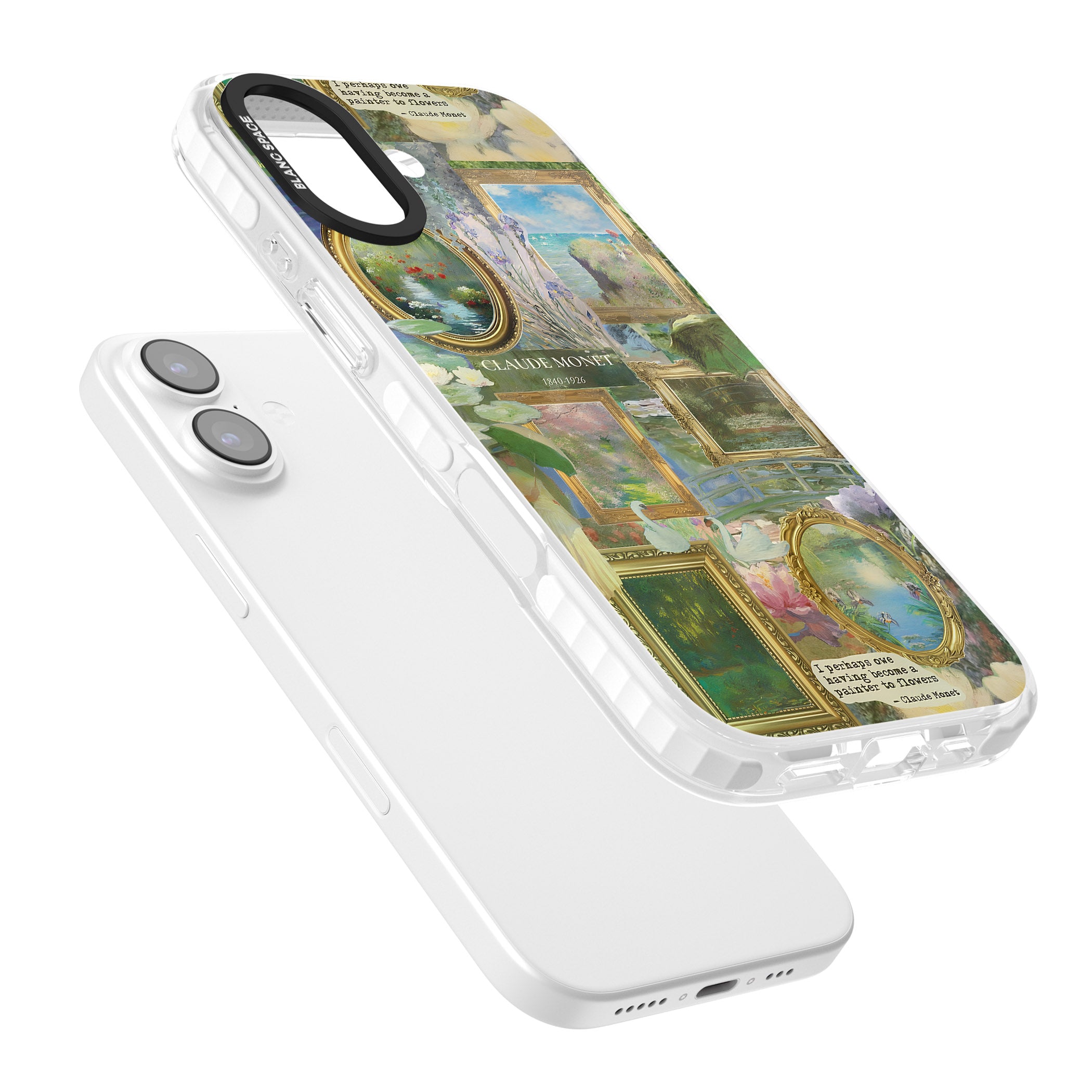 Vintage Floral Frames iPhone 17 Impact Pro Clear Phone Case Colours