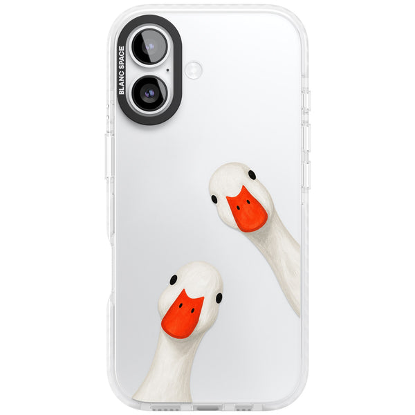 Nosy Ducks