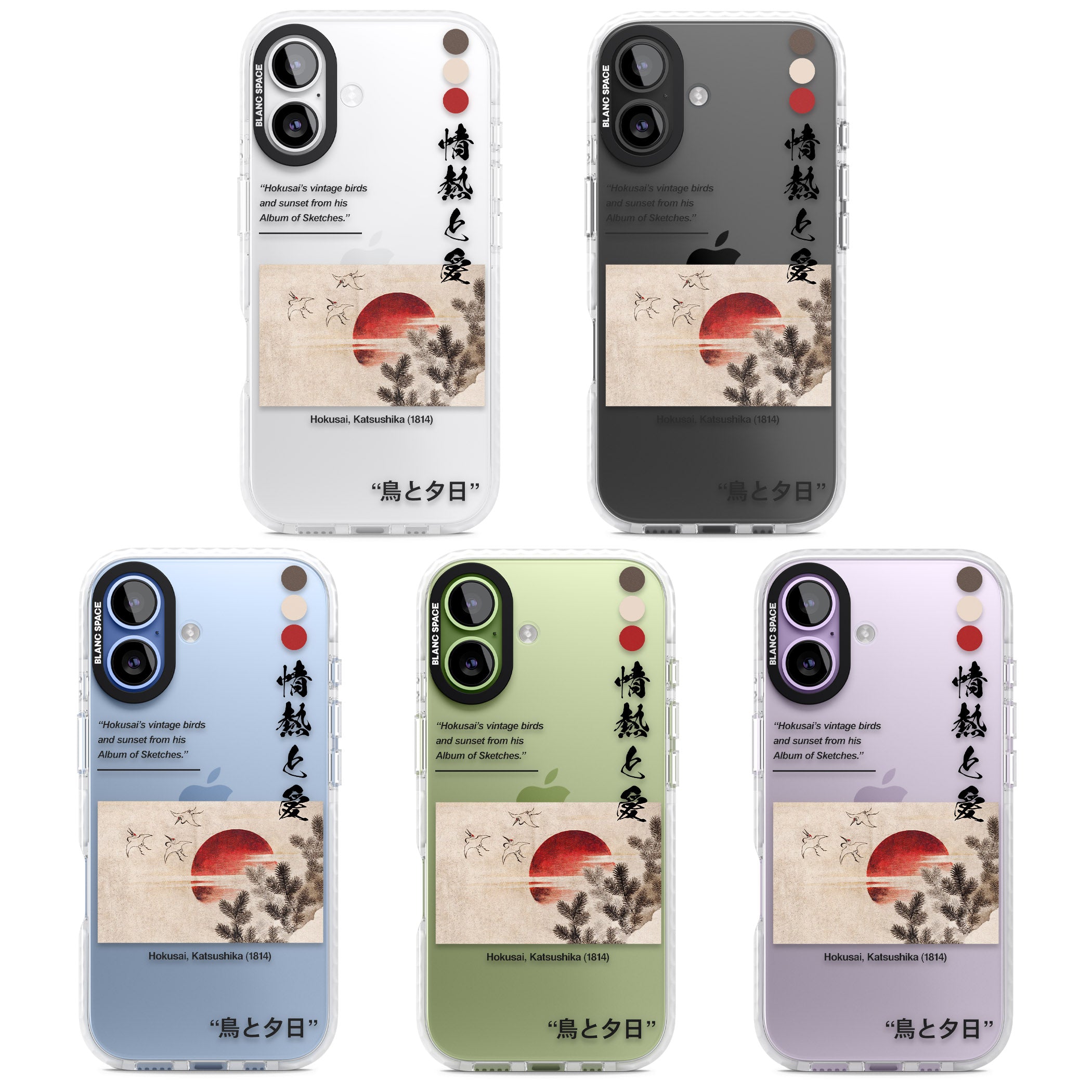 Birds And Sunset iPhone 17 Impact Clear Phone Case APT Impact Protection