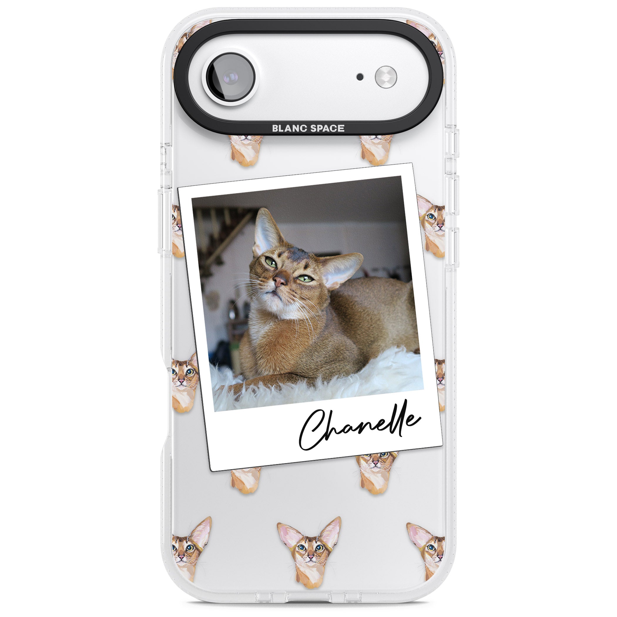 Personalised Abyssinian Cat Photo iPhone 17 Air Impact Air Clear Phone Case