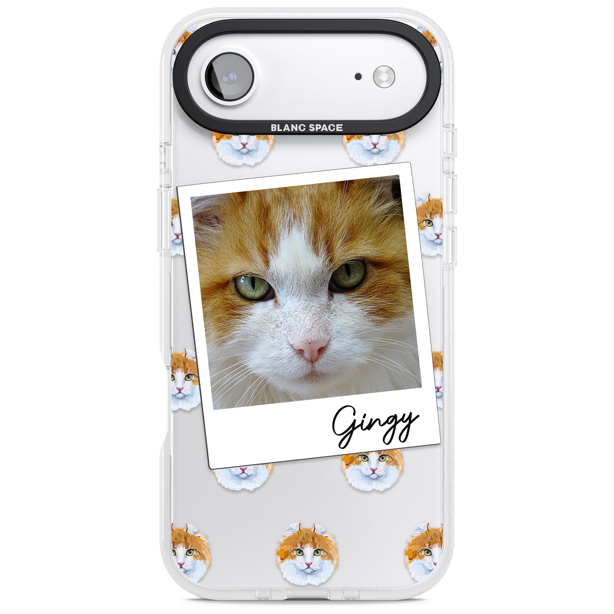 Personalised American Curl Photo iPhone 17 Air Impact Air Clear Phone Case
