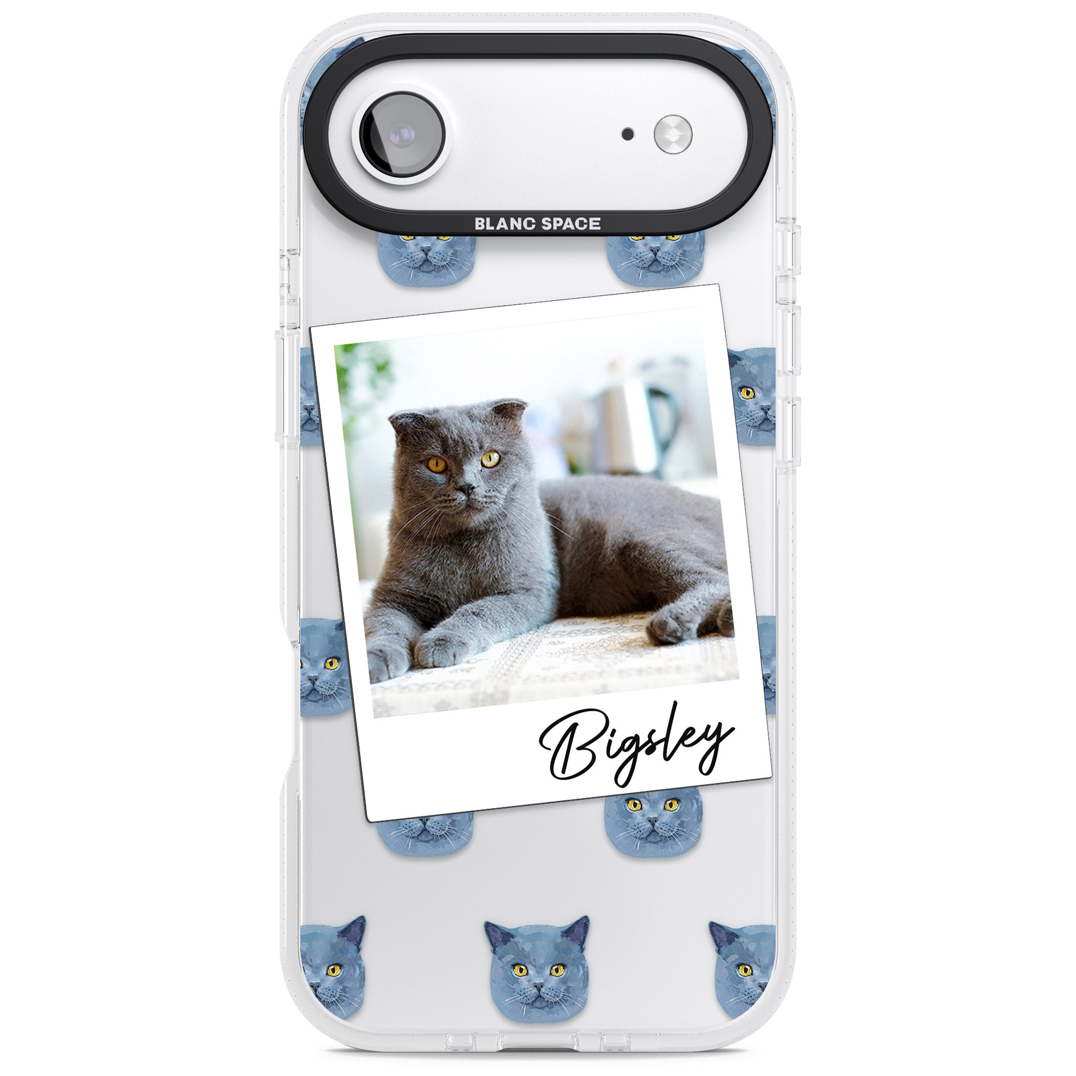 Personalised English Blue Cat Photo iPhone 17 Air Impact Air Clear Phone Case