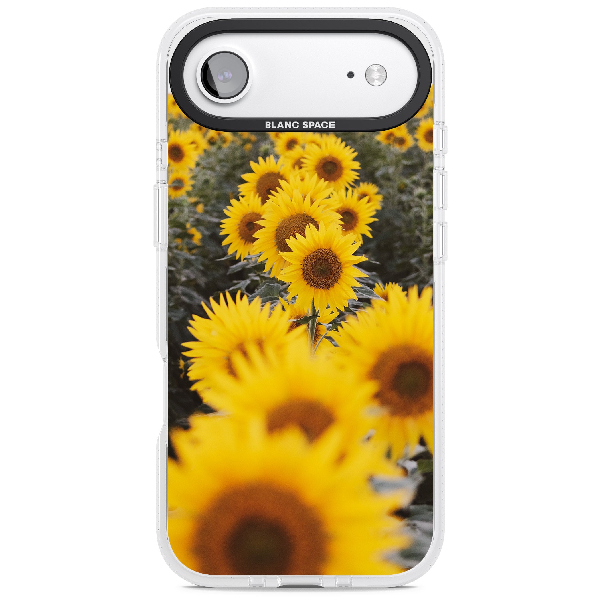 Sunflower Field iPhone 17 Air Impact Air Clear Phone Case