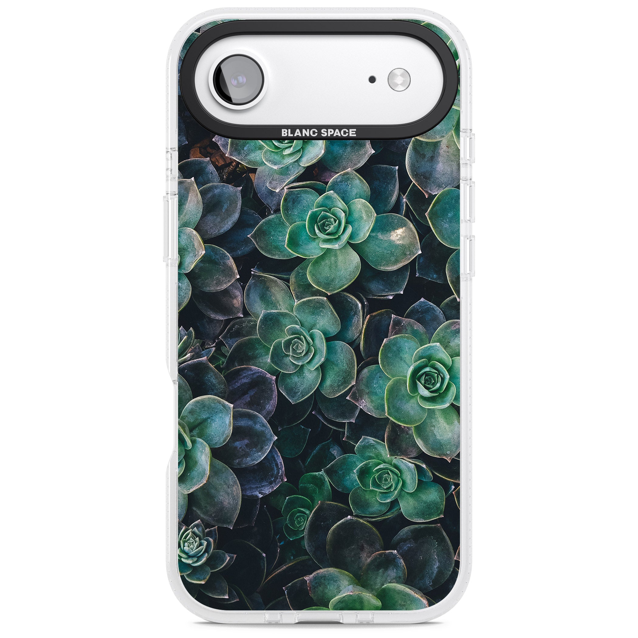 Succulent Bloom Botanical iPhone 17 Air Impact Air Clear Phone Case