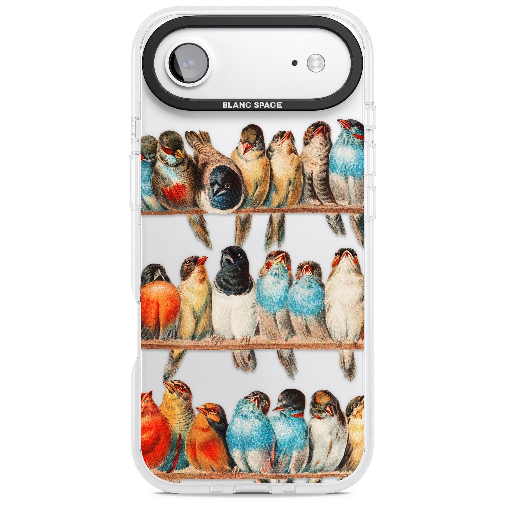 A Perch Of Birds iPhone 17 Air Impact Air Clear Phone Case