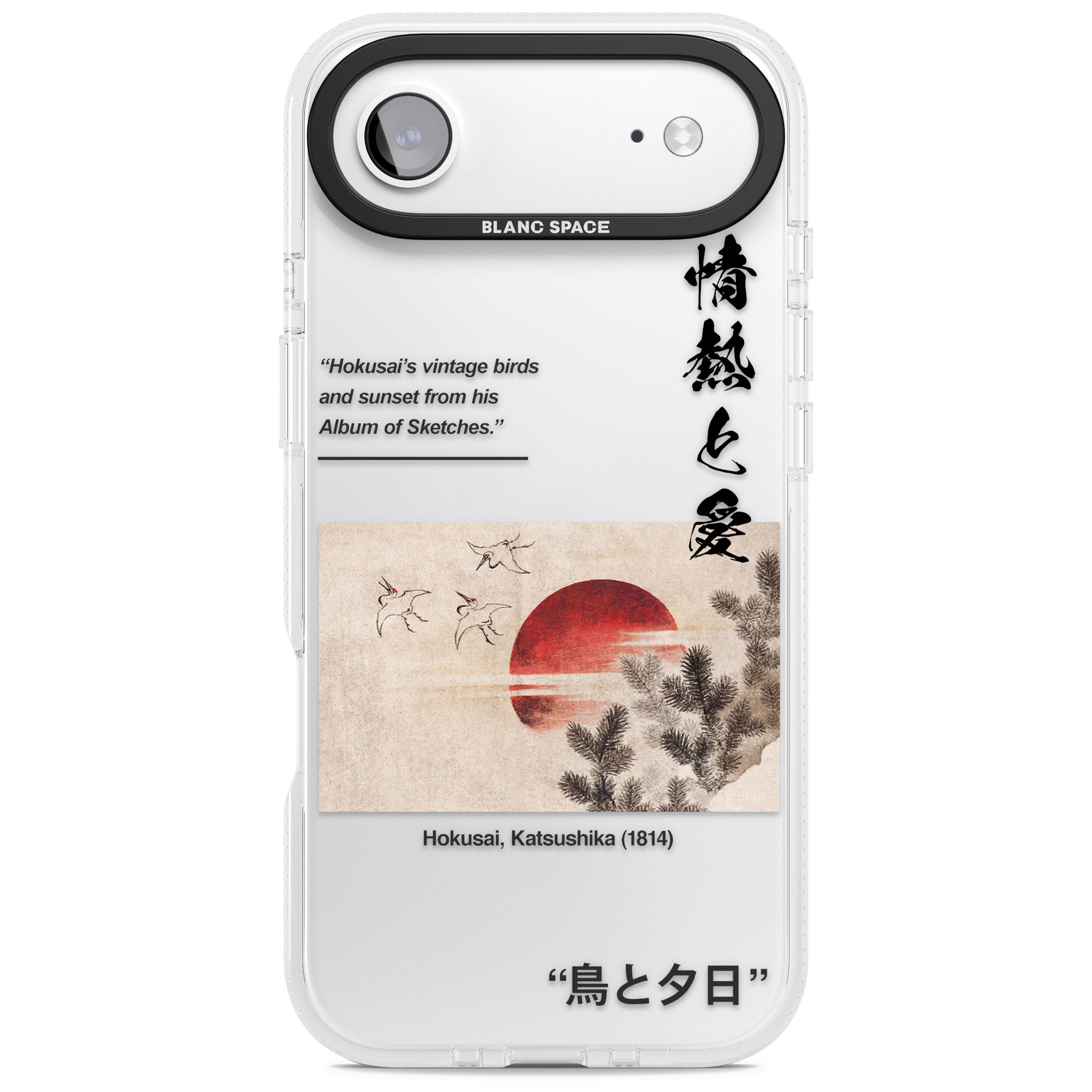 Birds And Sunset iPhone 17 Air Impact Air Clear Phone Case