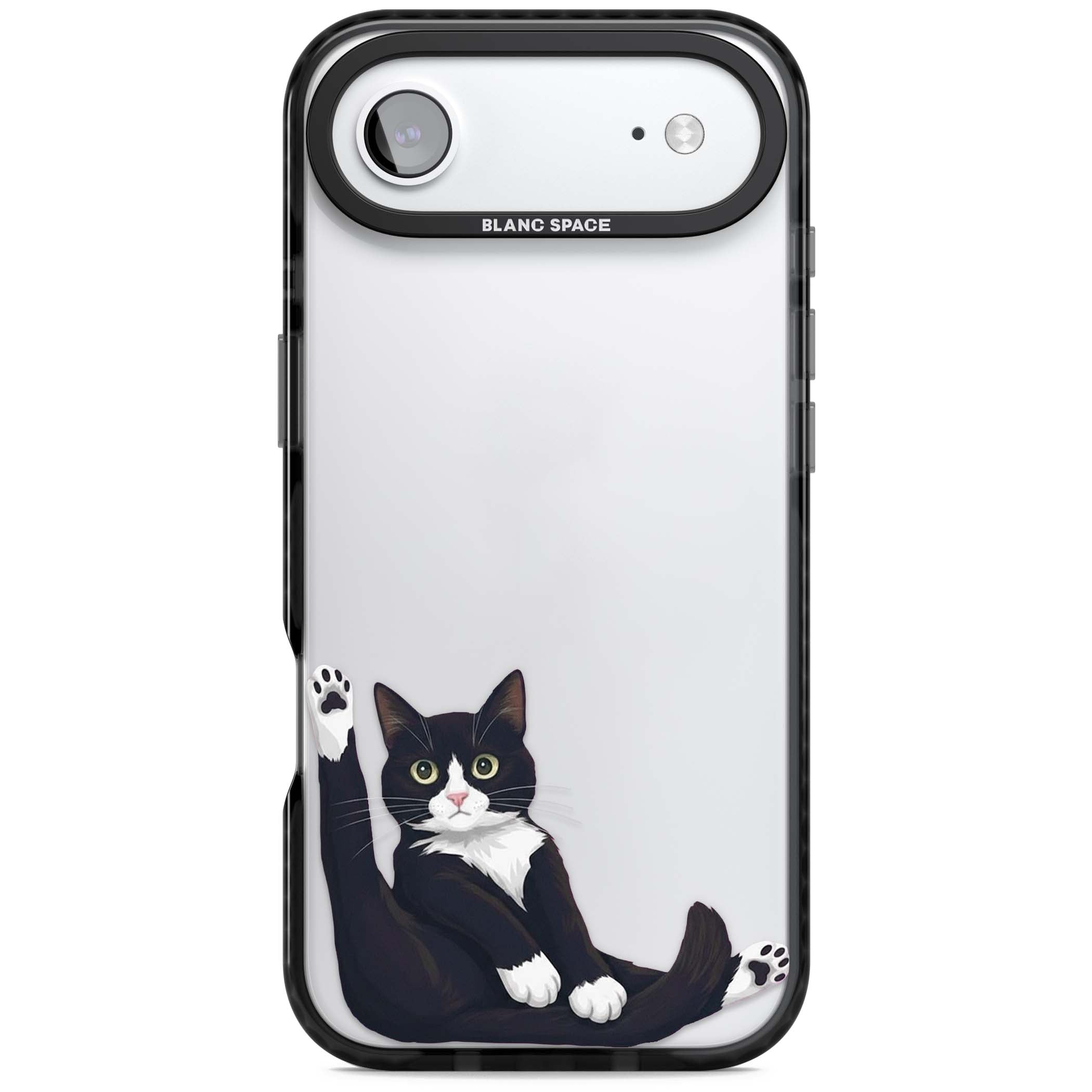 Mid-Groom Cat animals iPhone case | Clear Impact case for iPhone Air