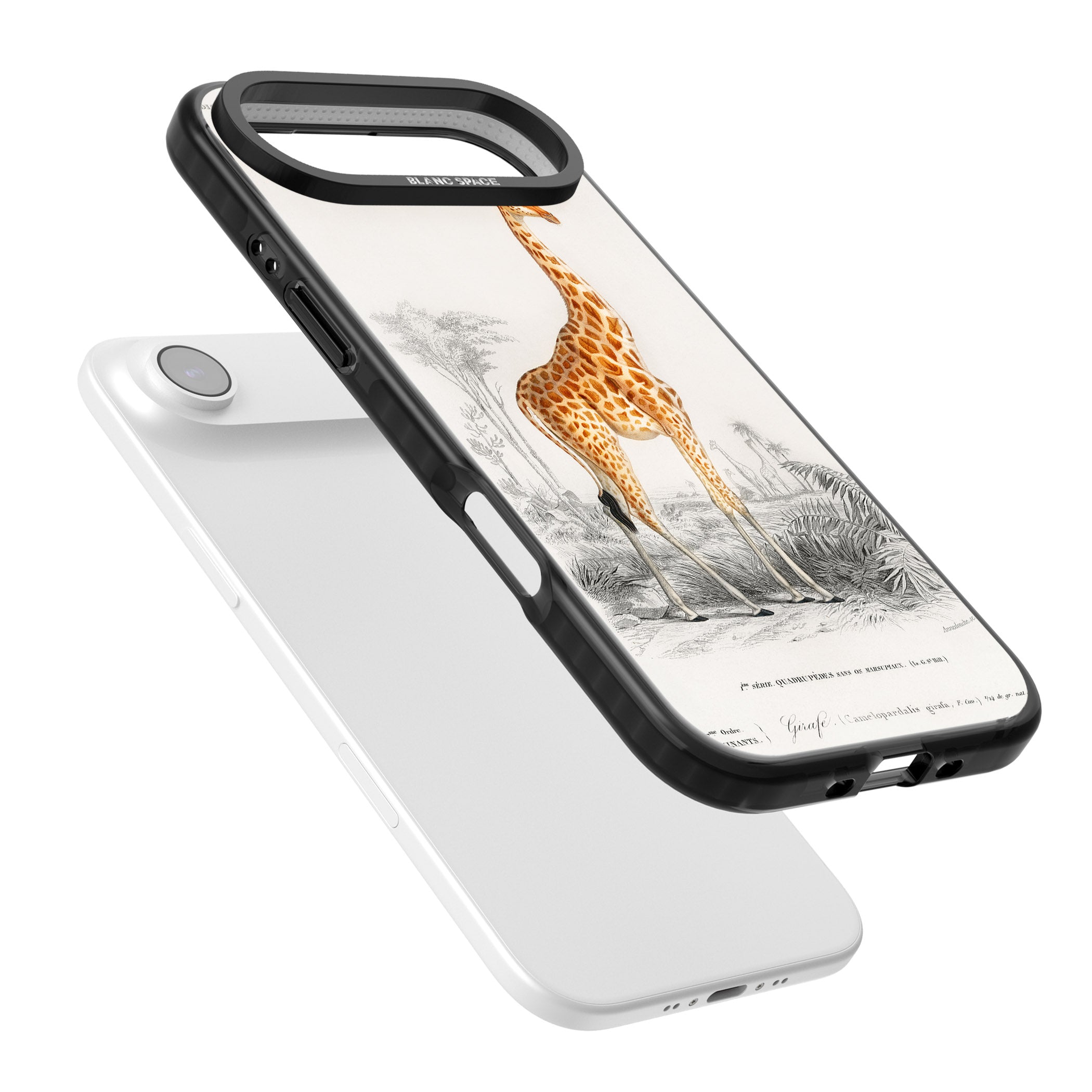 Vintage Giraffe Art iPhone 17 Air Impact Black Phone Case Colours