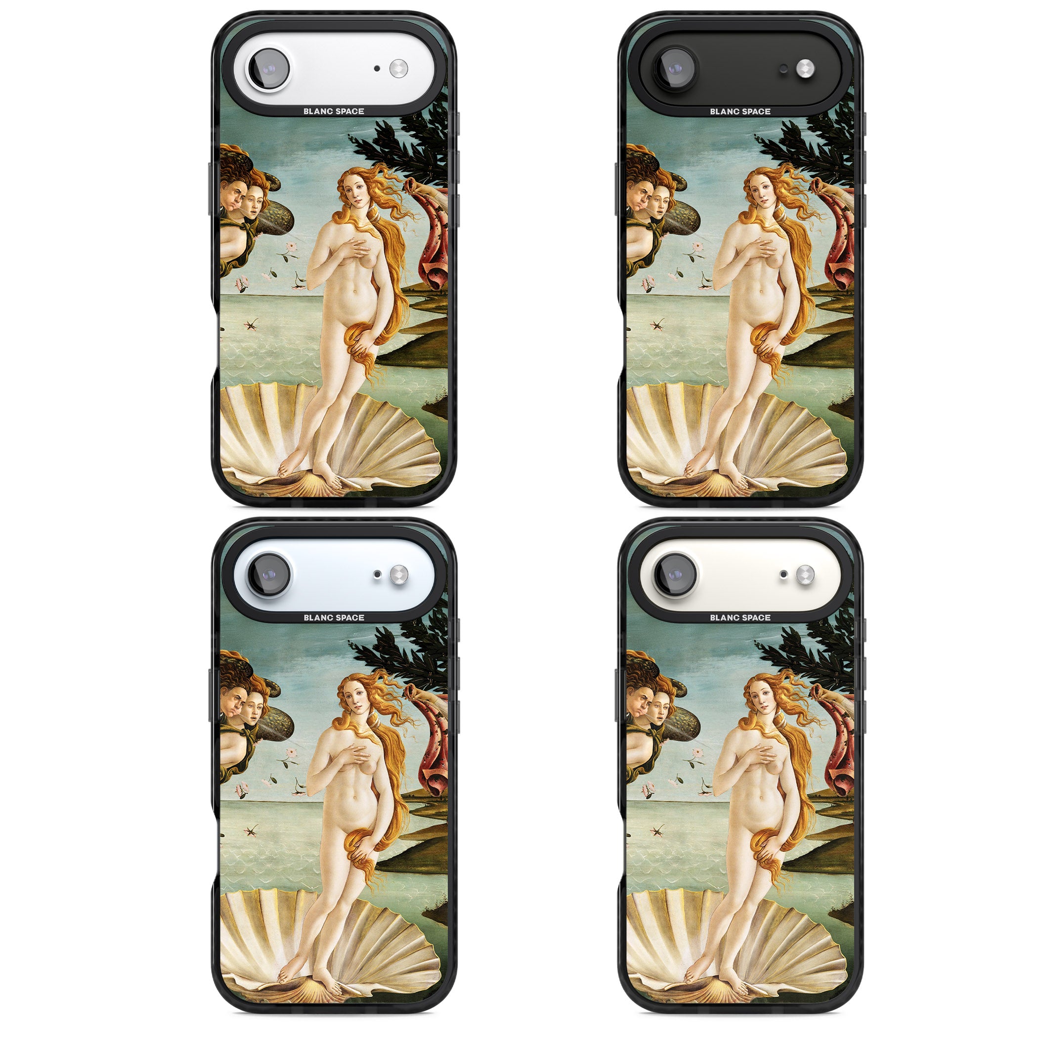 The Birth of Venus - Sandro Botticelli iPhone 17 Air Impact Pro Black Phone Case APT Impact Protection
