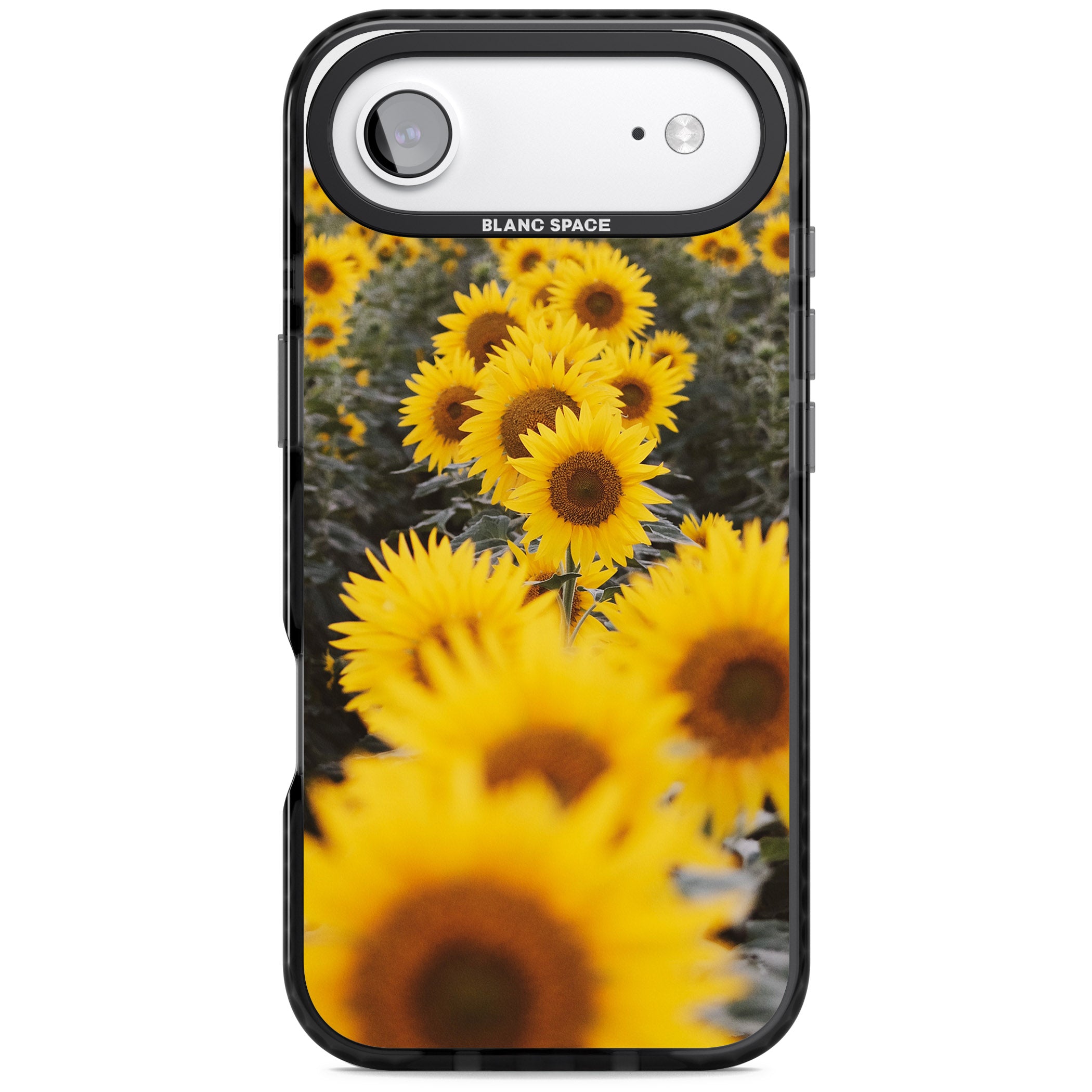 Sunflower Field iPhone 17 Air Impact Pro Black Phone Case