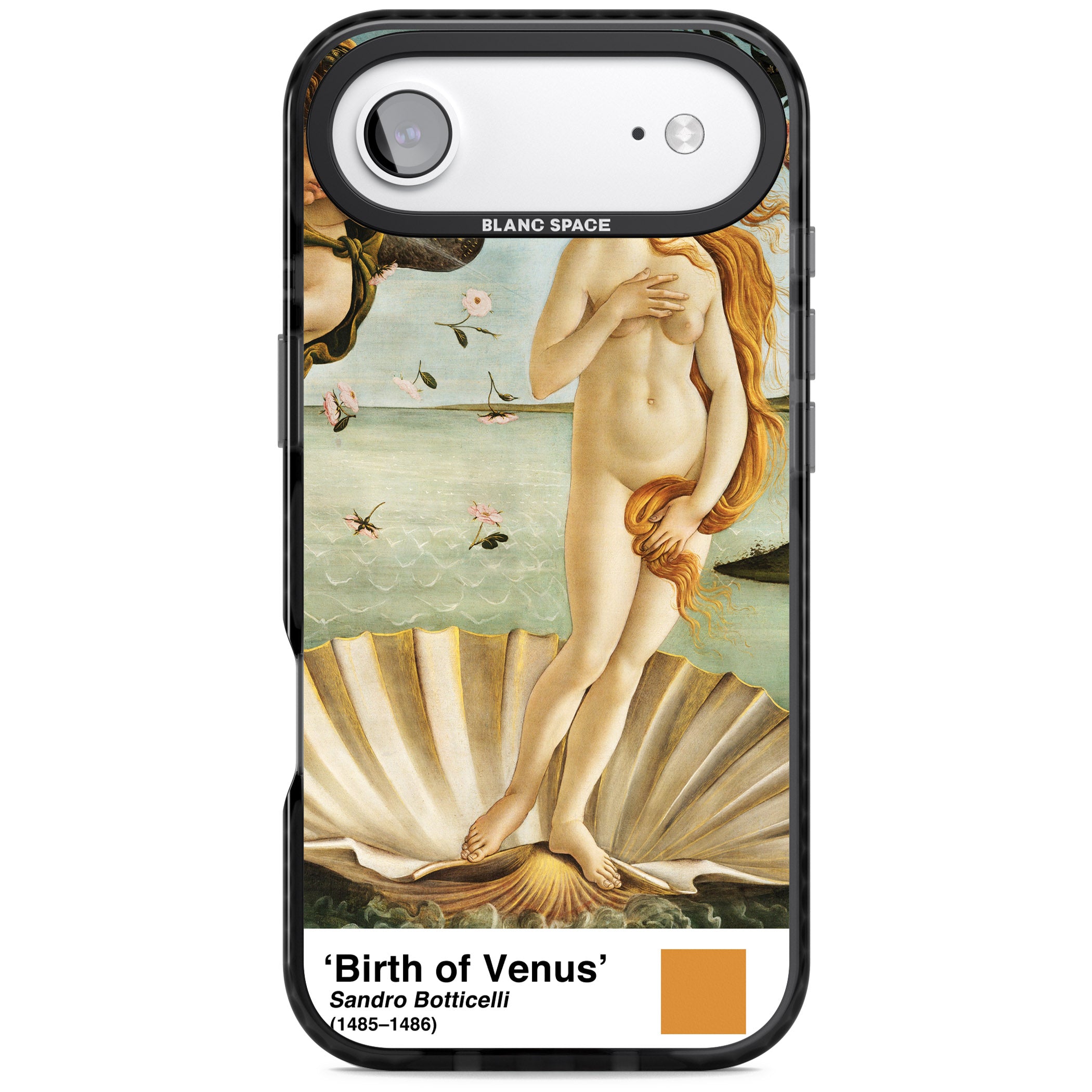 The Birth Of Venus iPhone 17 Air Impact Pro Black Phone Case