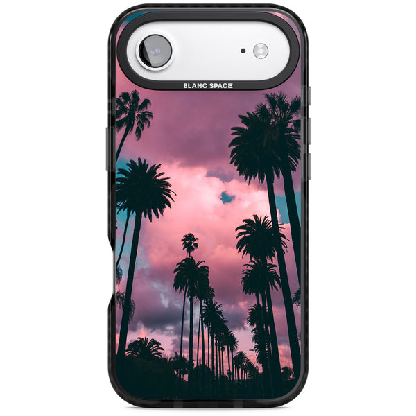 Sunset Palms