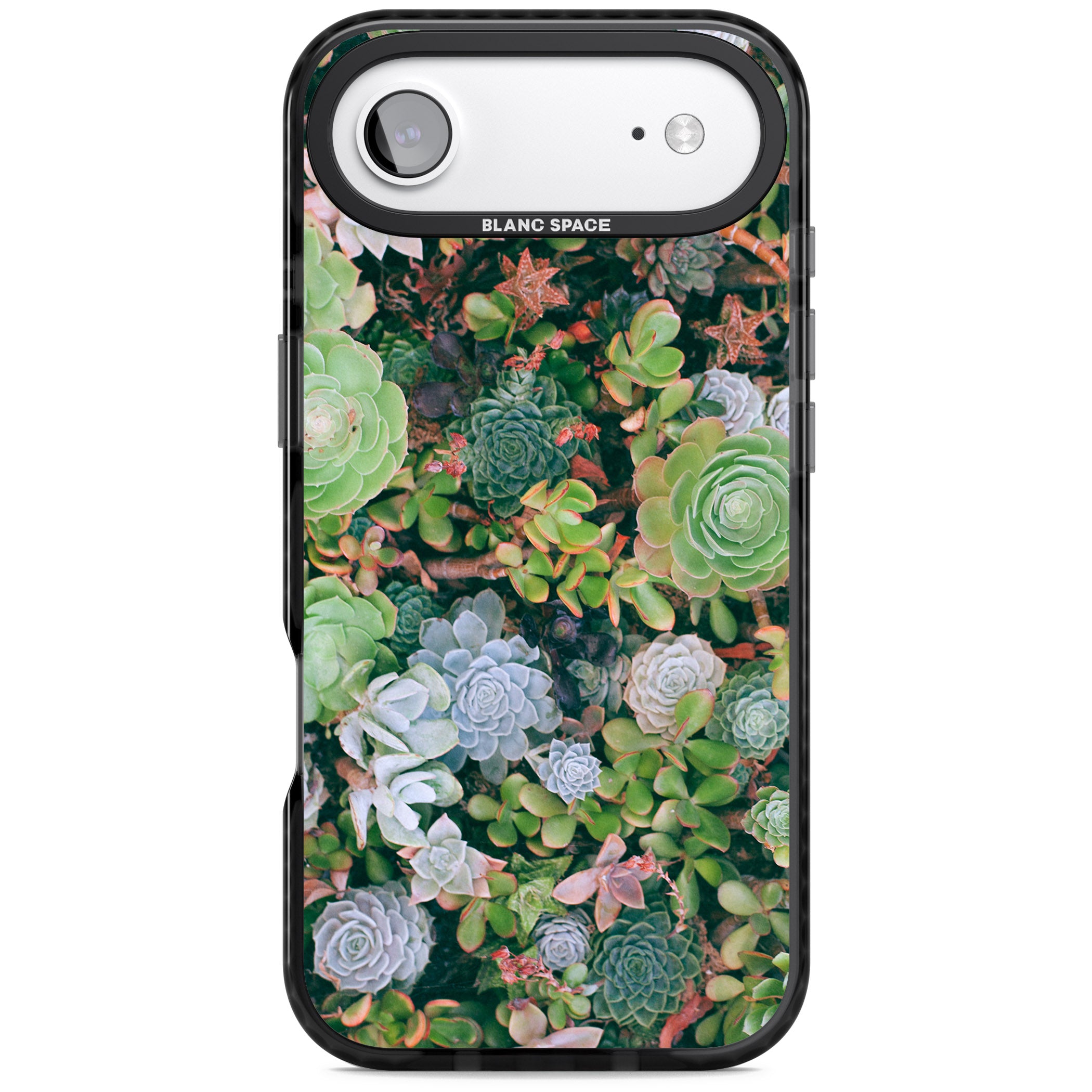 Succulent Garden iPhone 17 Air Impact Black Phone Case