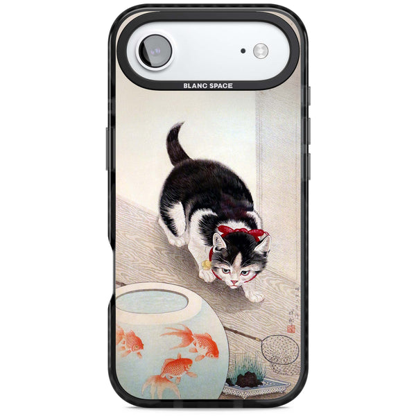 Cat & Goldfish Bowl