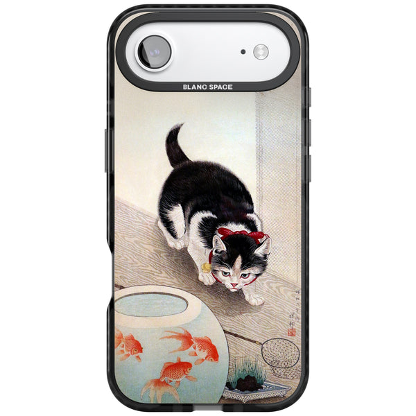 Cat & Goldfish Bowl