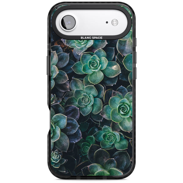 Succulent Bloom Botanical