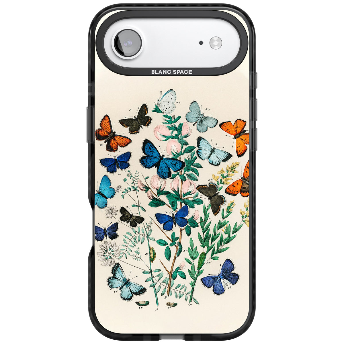 European Butterflies iPhone Air Impact Black Phone Case front