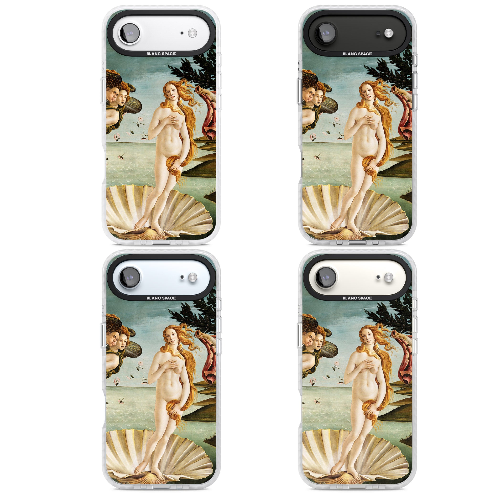 The Birth of Venus - Sandro Botticelli iPhone 17 Air Impact Clear Phone Case APT Impact Protection