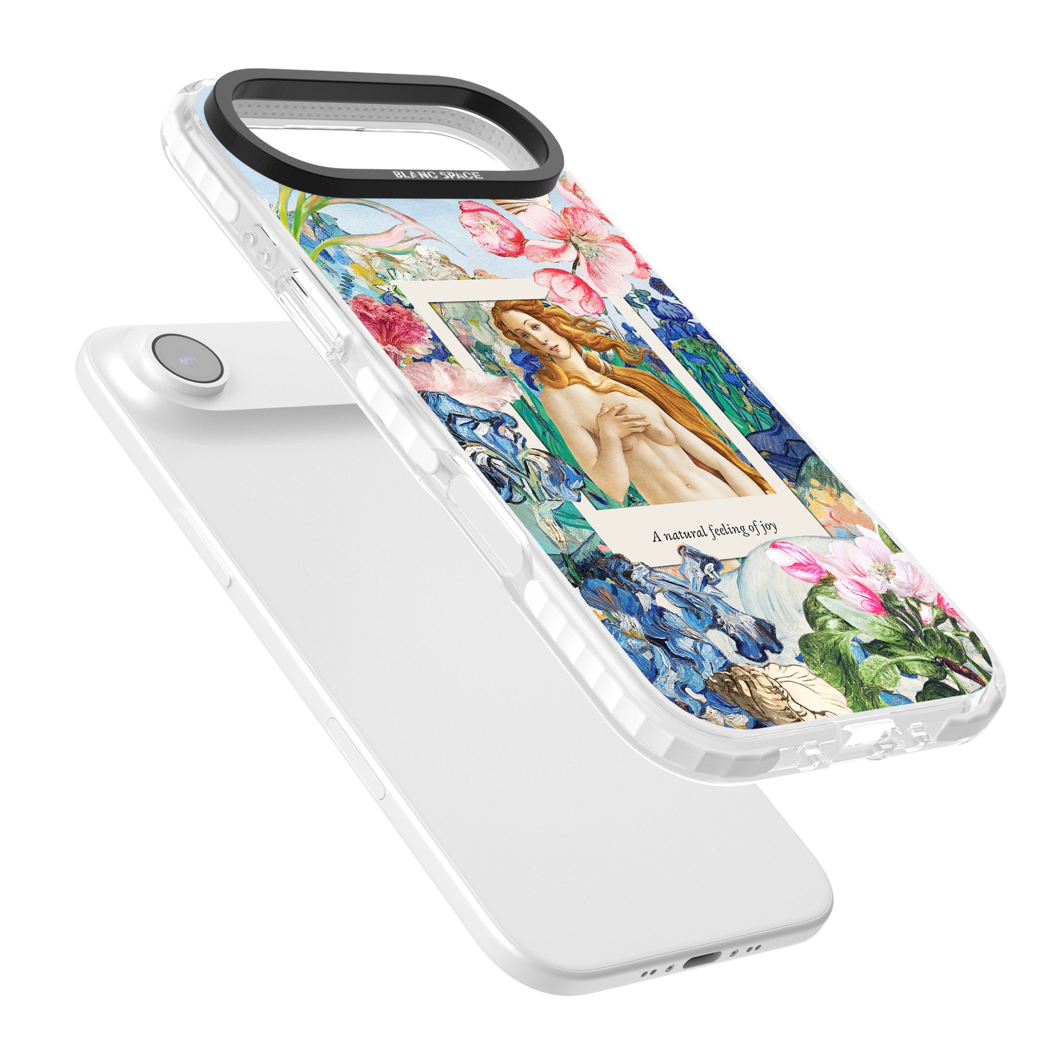 Botticelli Venus iPhone 17 Air Impact Pro Clear Phone Case Colours