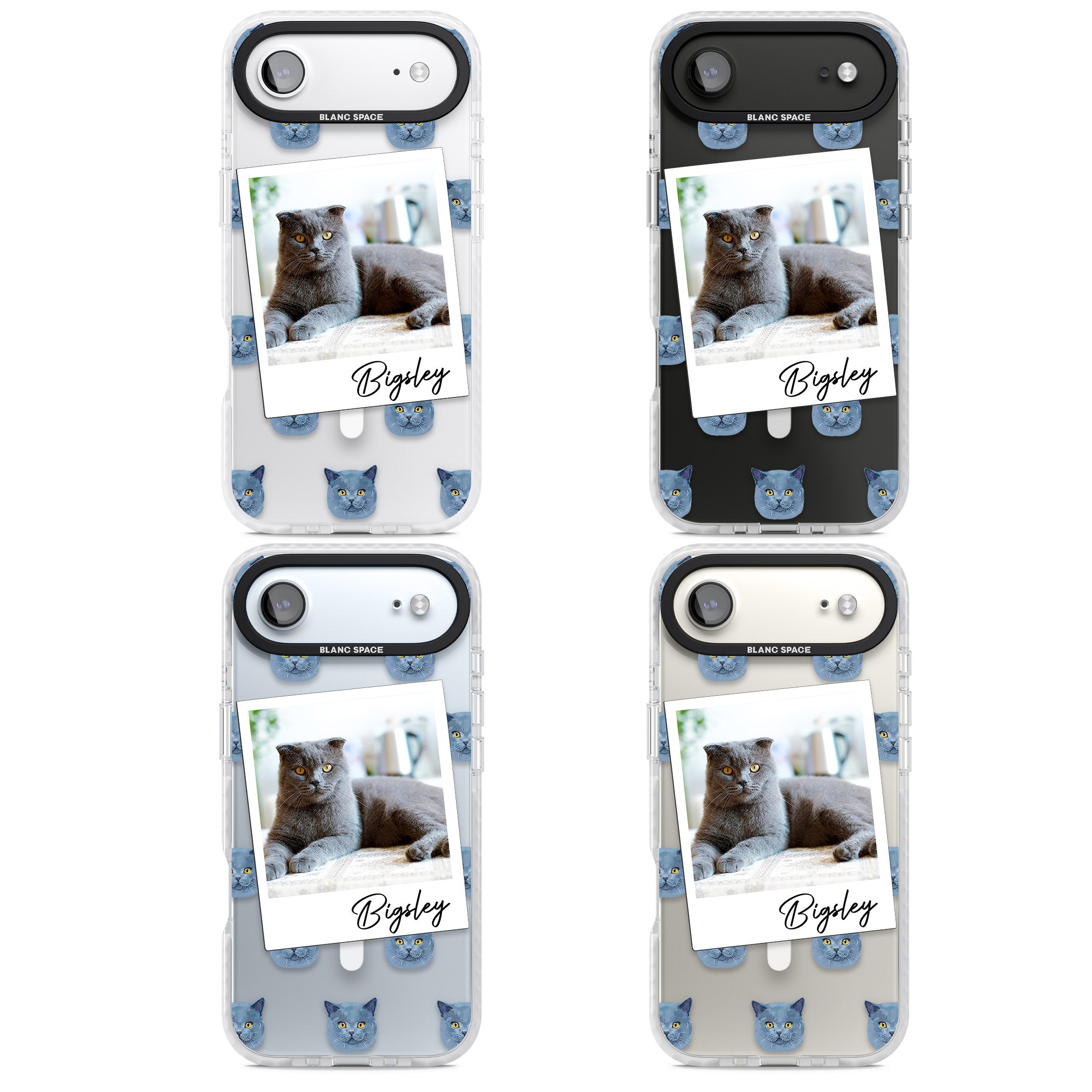 Personalised English Blue Cat Photo iPhone 17 Air Impact Pro Clear Phone Case APT Impact Protection
