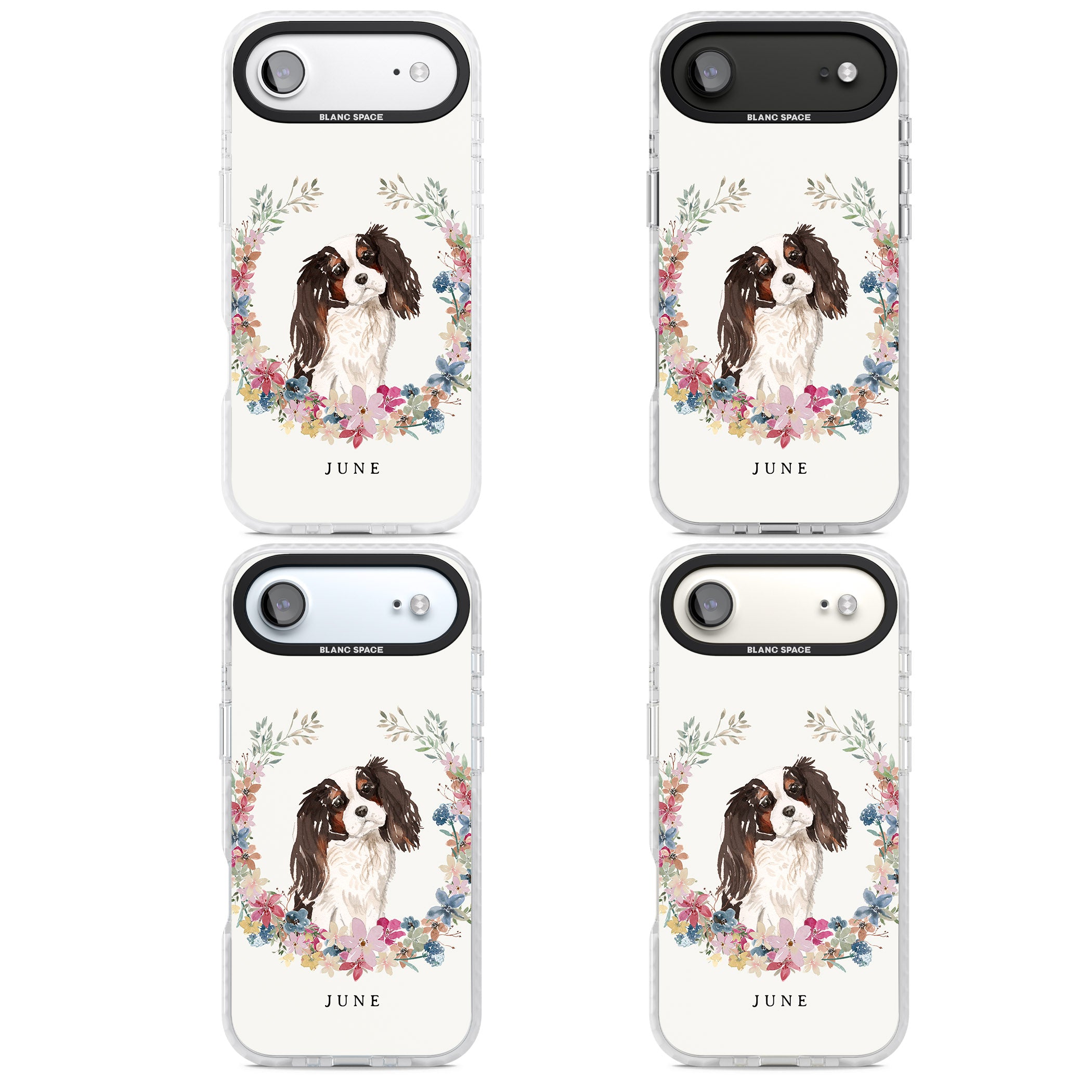 Personalised King Charles Floral Portrait iPhone 17 Air Impact Pro Clear Phone Case APT Impact Protection